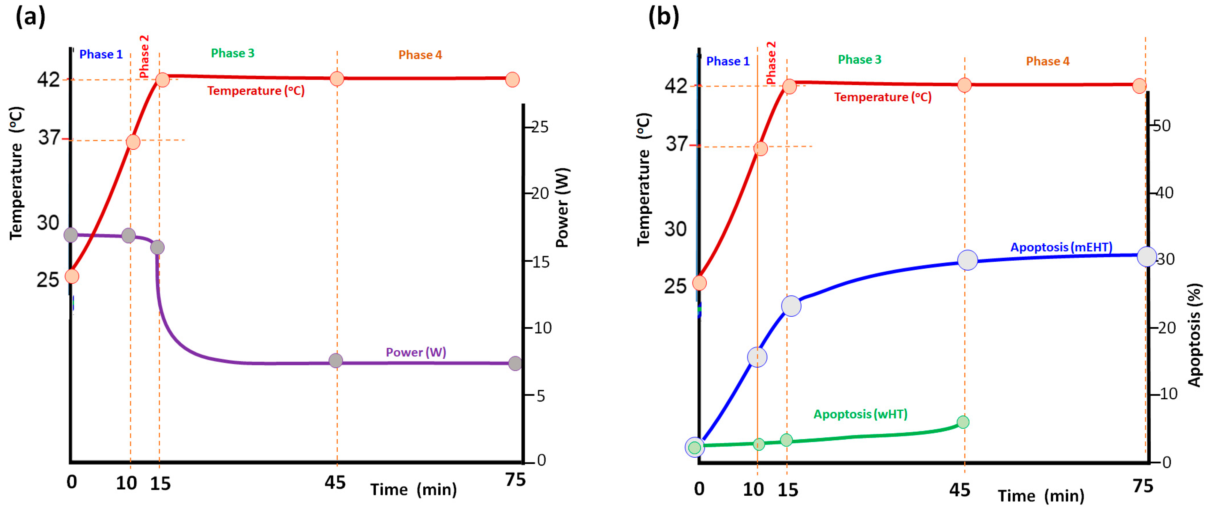 Bioengineering 11 00725 g017