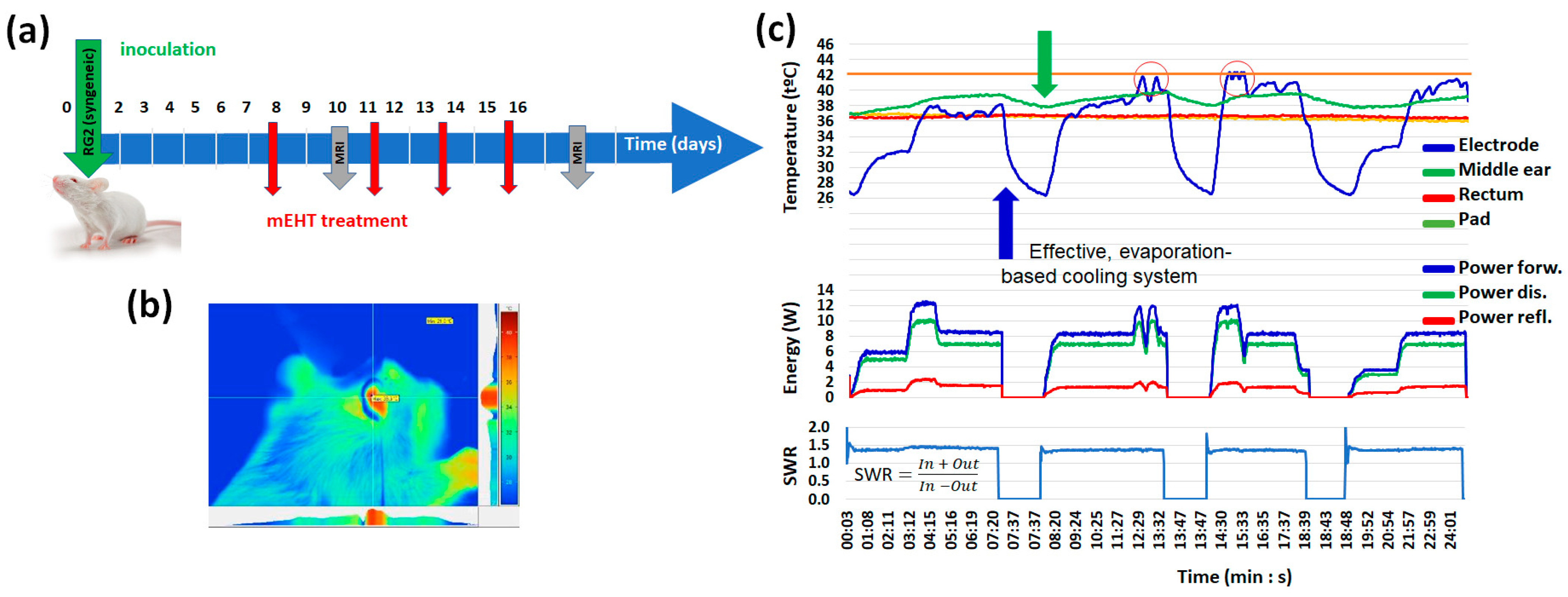 Bioengineering 11 00725 g020