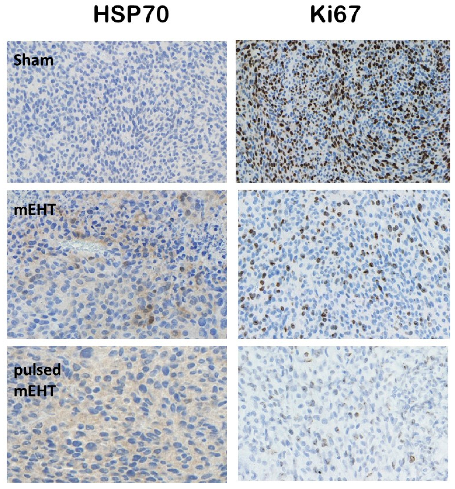 Bioengineering 11 00725 g022