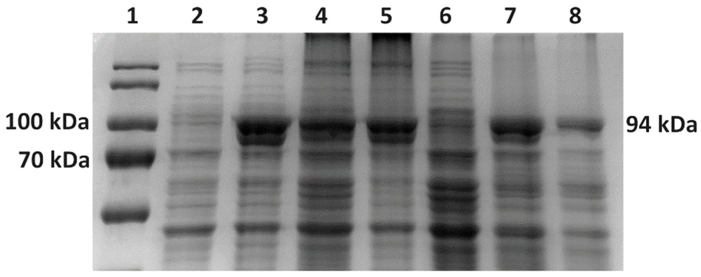 Bioengineering 11 00727 g010