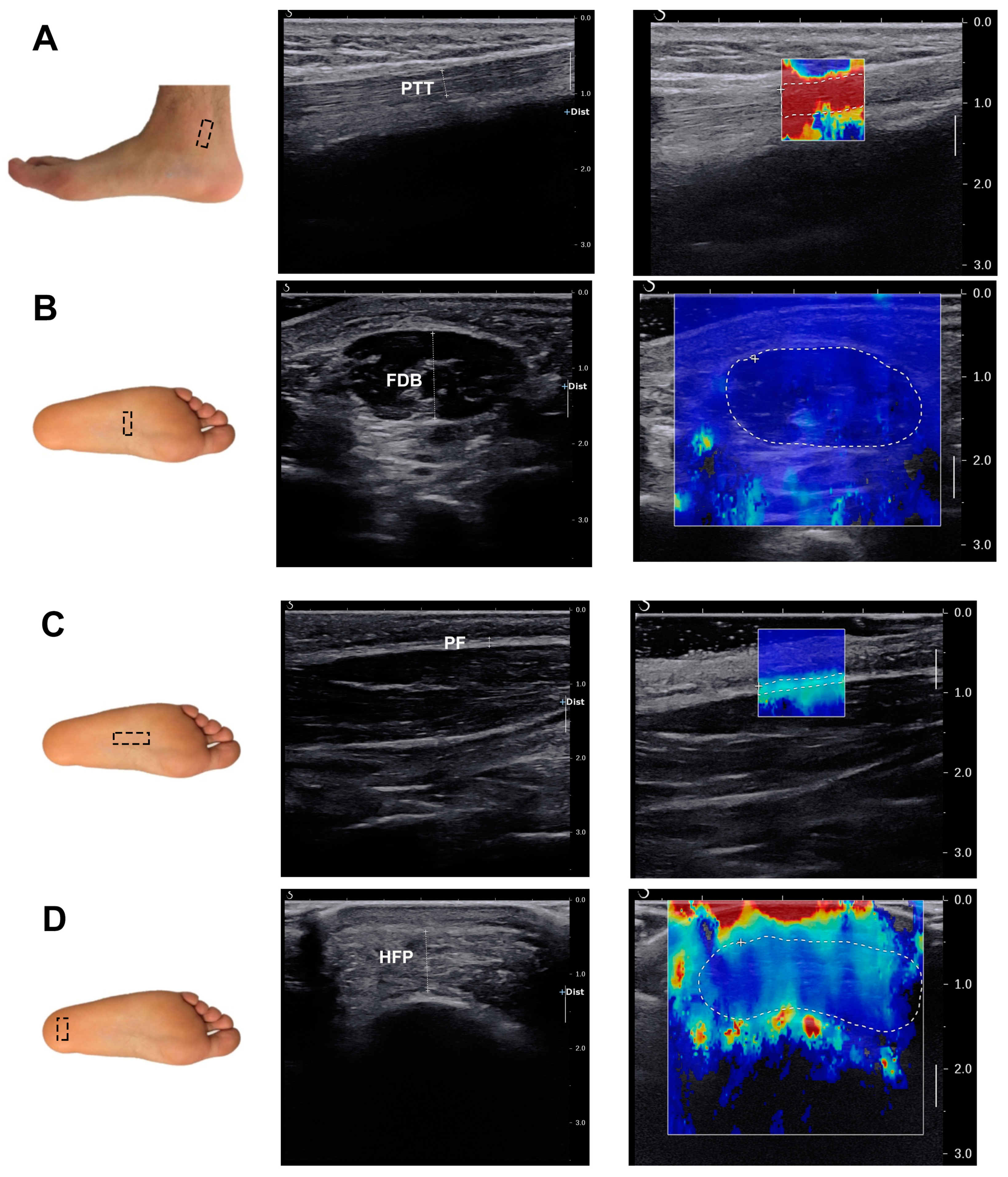 Bioengineering 11 00728 g002