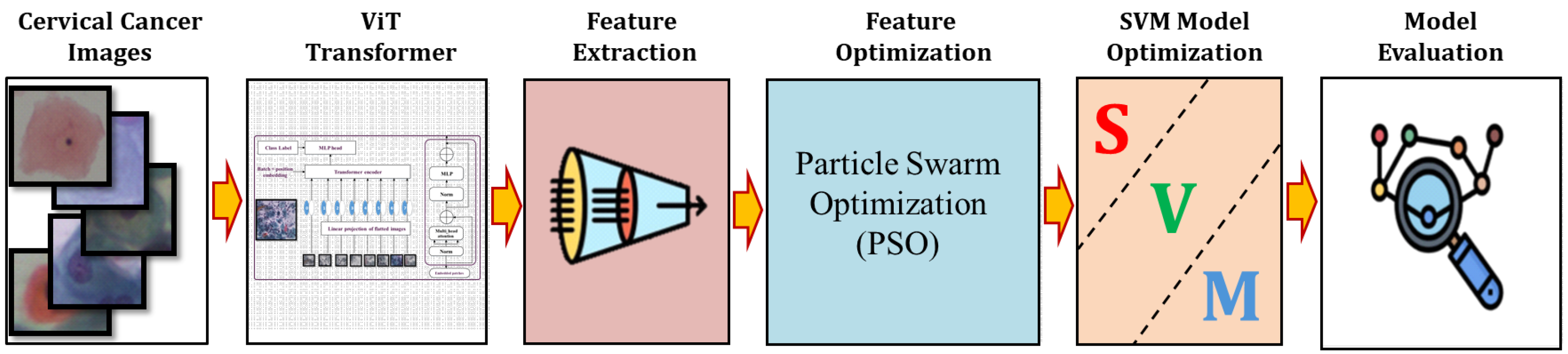 Bioengineering 11 00729 g005