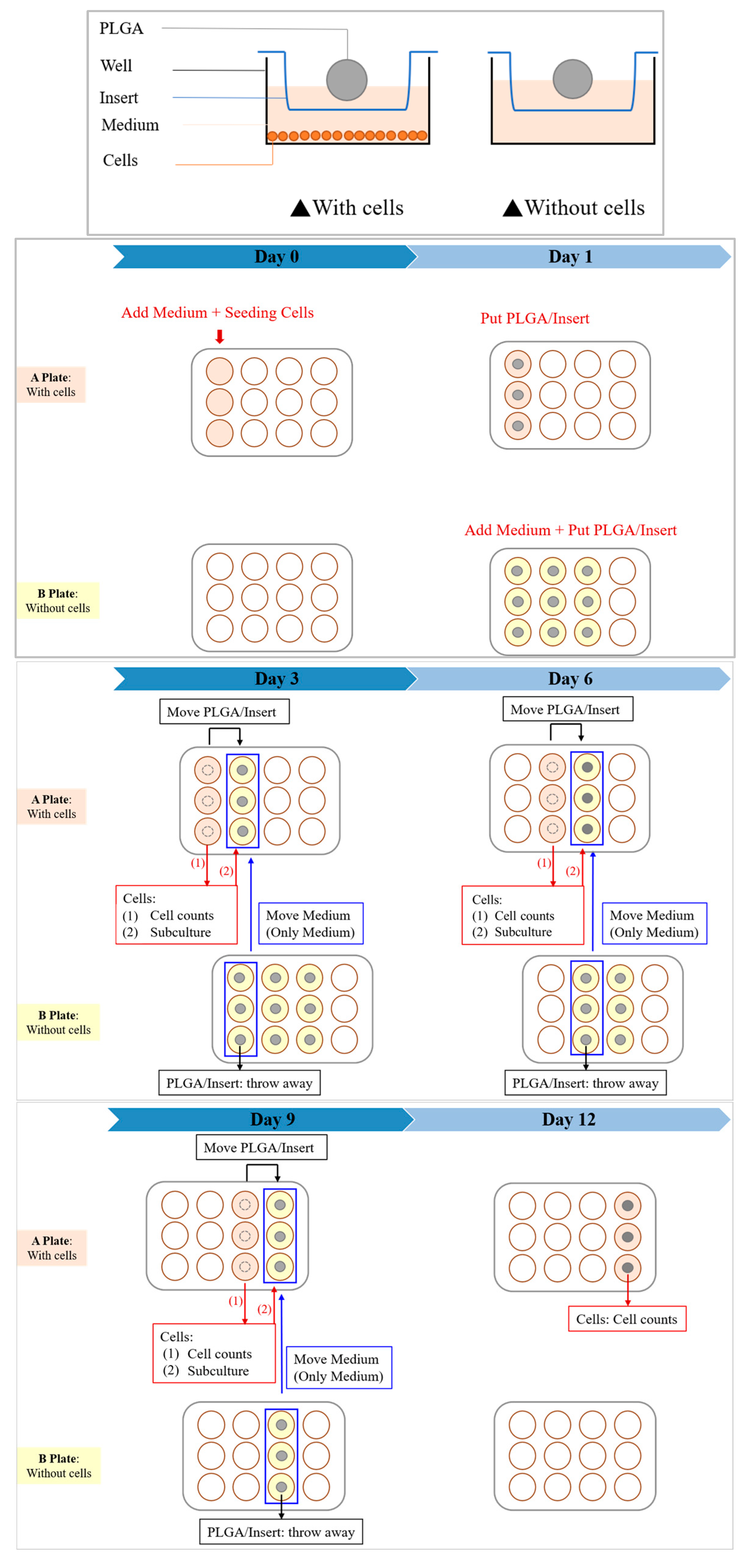 Bioengineering 11 00731 g003 Bioengineering 11 00731 g003