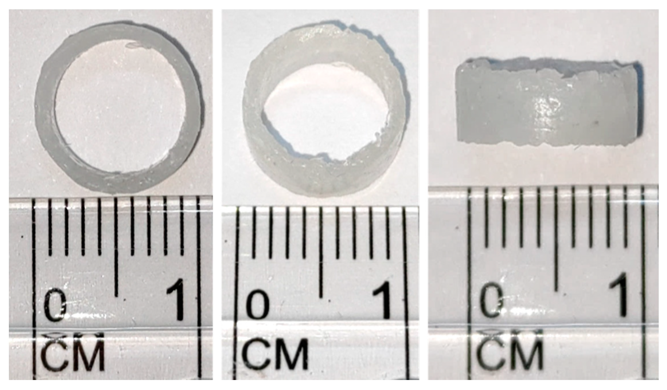 Bioengineering 11 00731 g005 Bioengineering 11 00731 g005