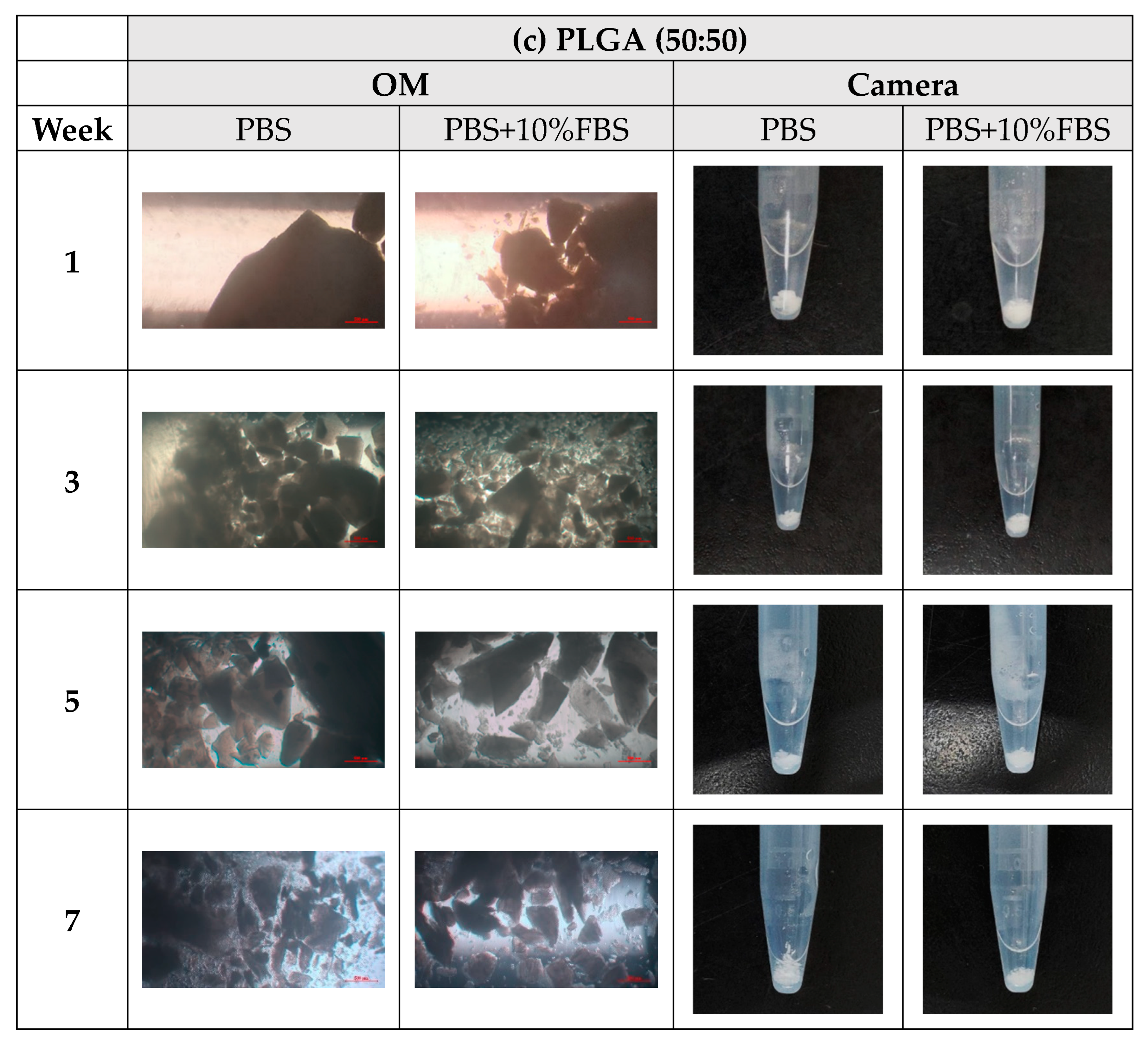 Bioengineering 11 00731 g008c Bioengineering 11 00731 g008c
