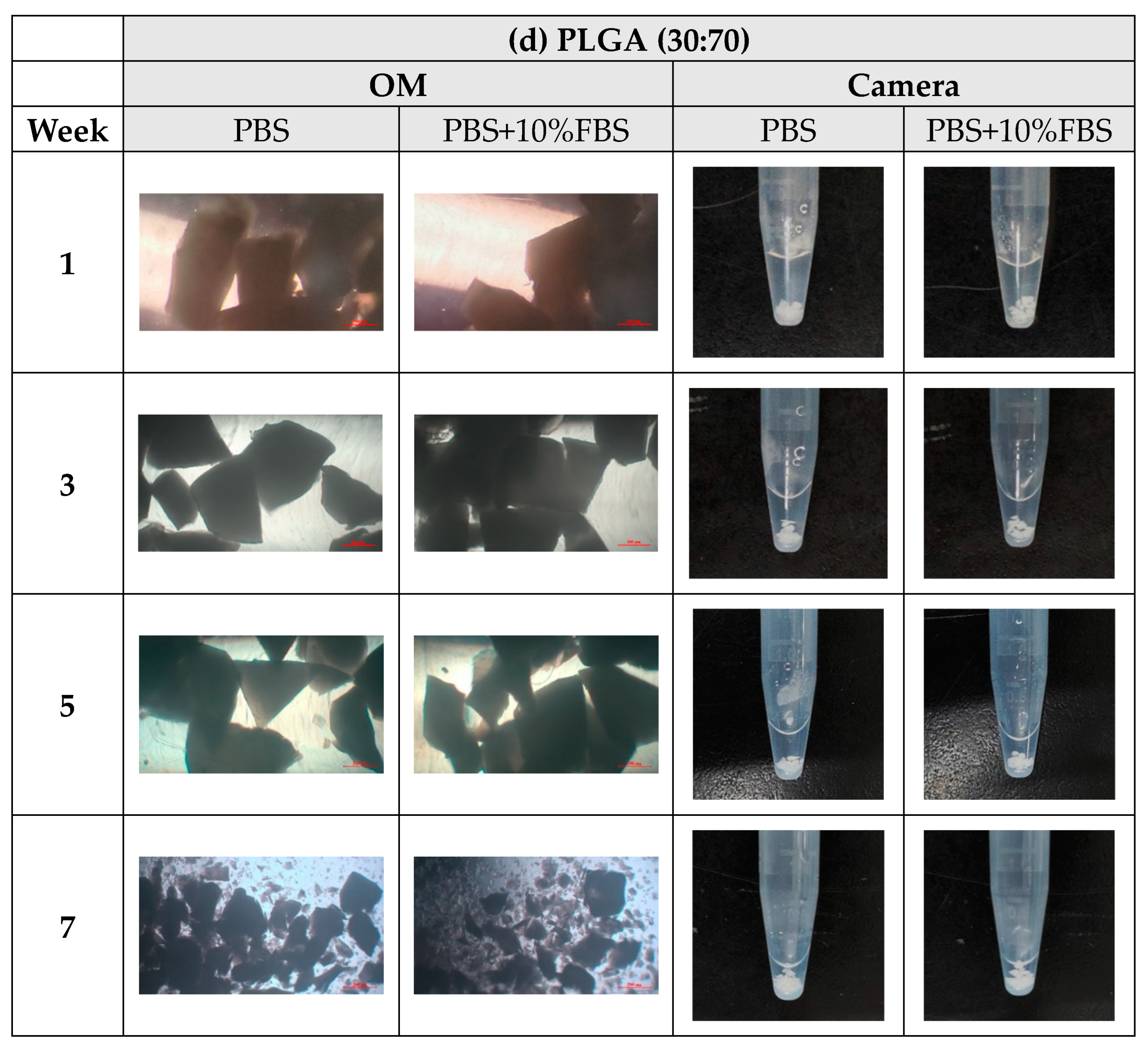 Bioengineering 11 00731 g008d Bioengineering 11 00731 g008d