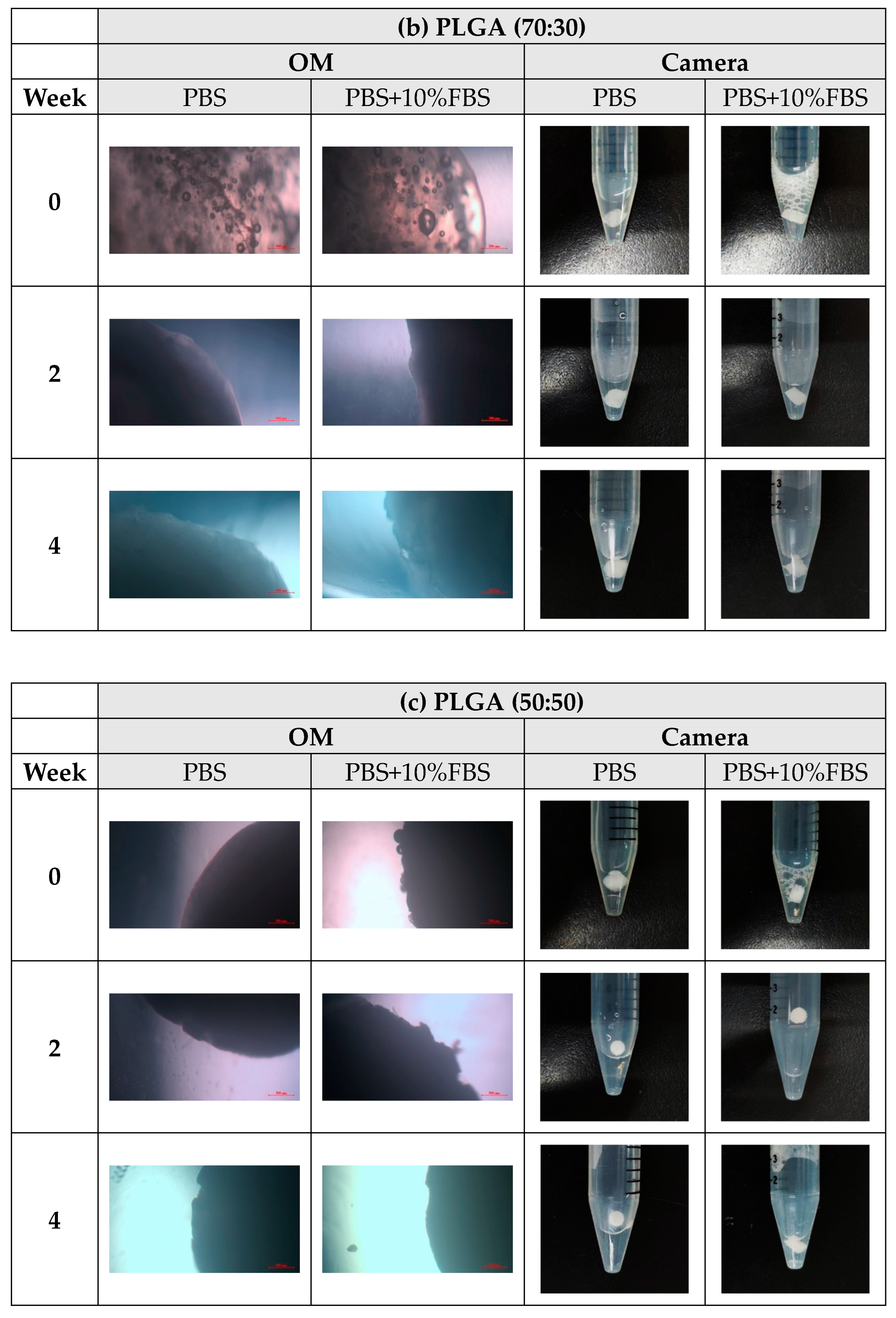 Bioengineering 11 00731 g010b Bioengineering 11 00731 g010b