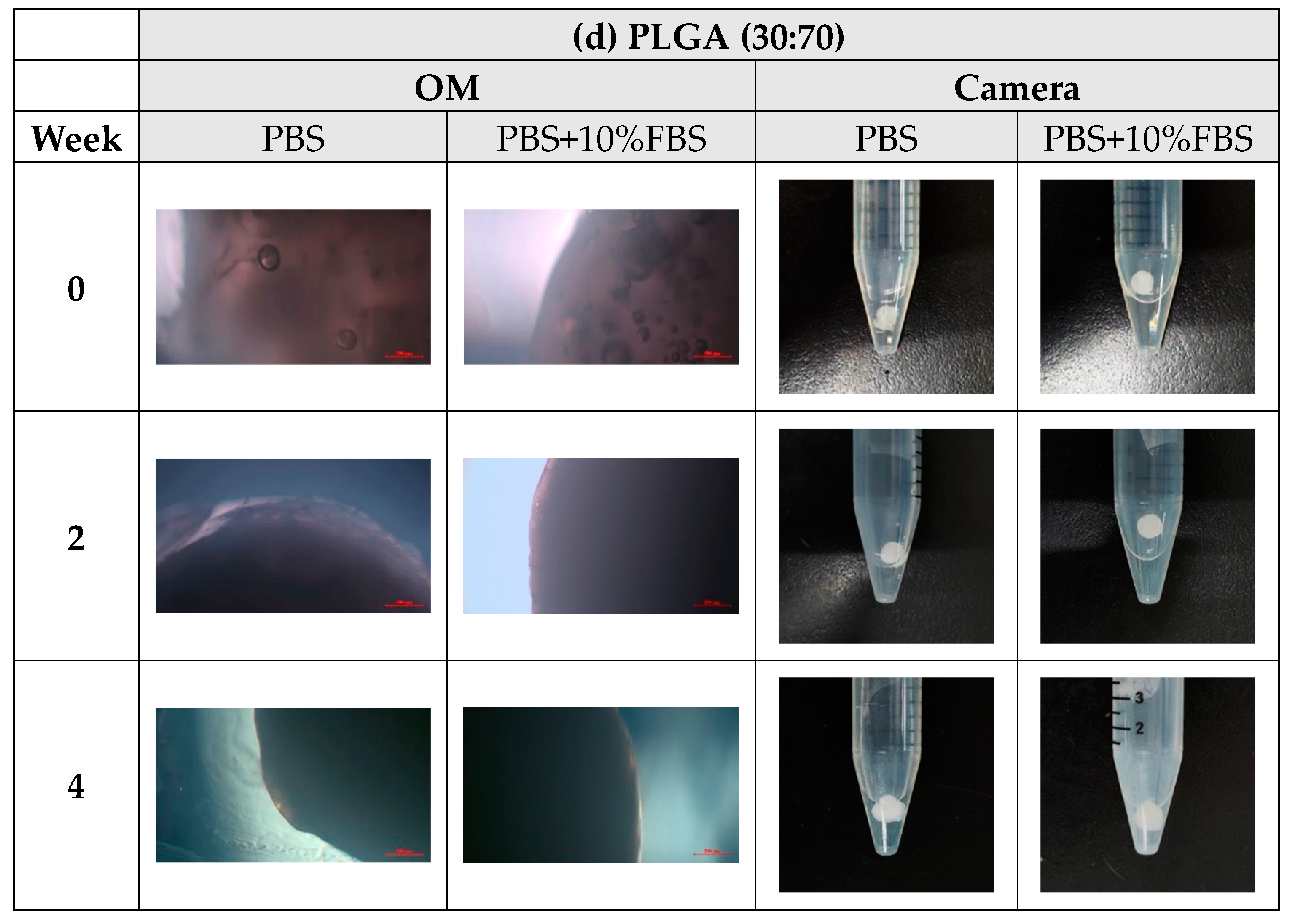 Bioengineering 11 00731 g010c Bioengineering 11 00731 g010c