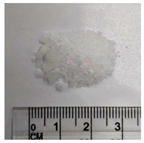 Bioengineering 11 00731 i002 Bioengineering 11 00731 i002