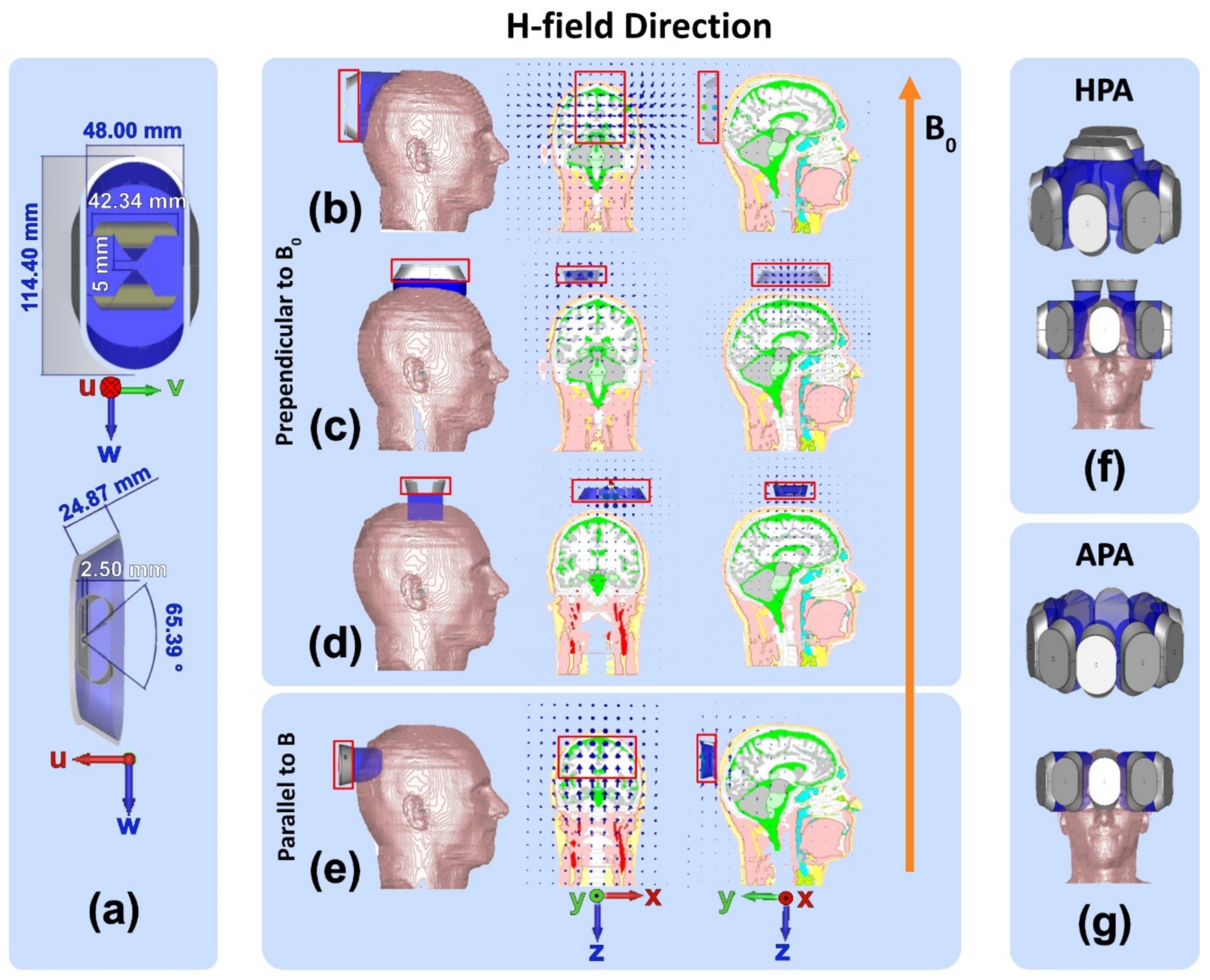 Bioengineering 11 00733 g002 Bioengineering 11 00733 g002