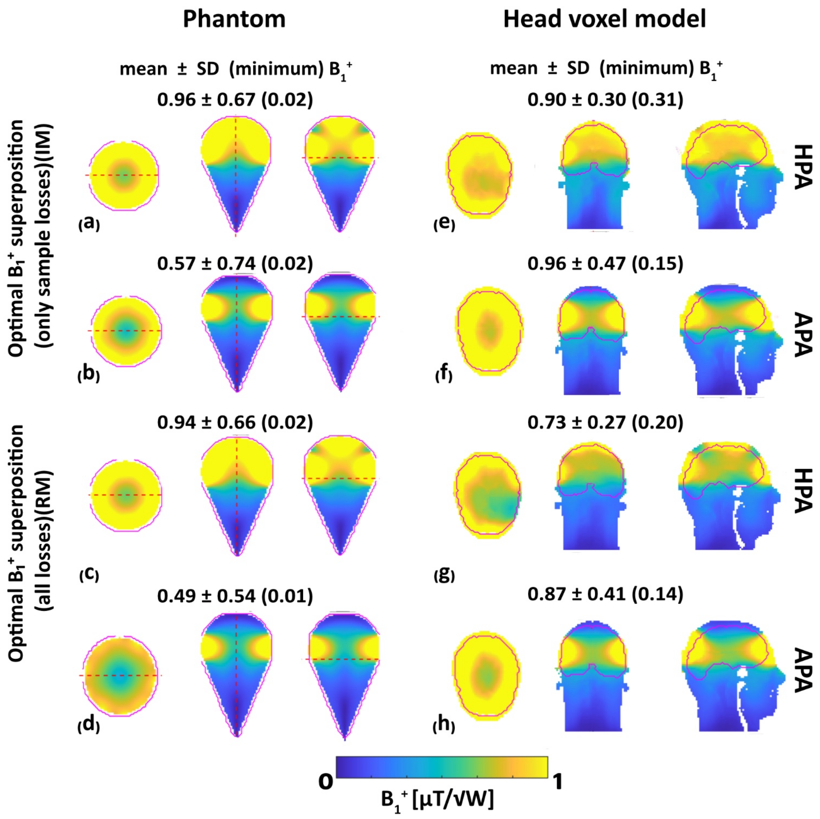 Bioengineering 11 00733 g005 Bioengineering 11 00733 g005