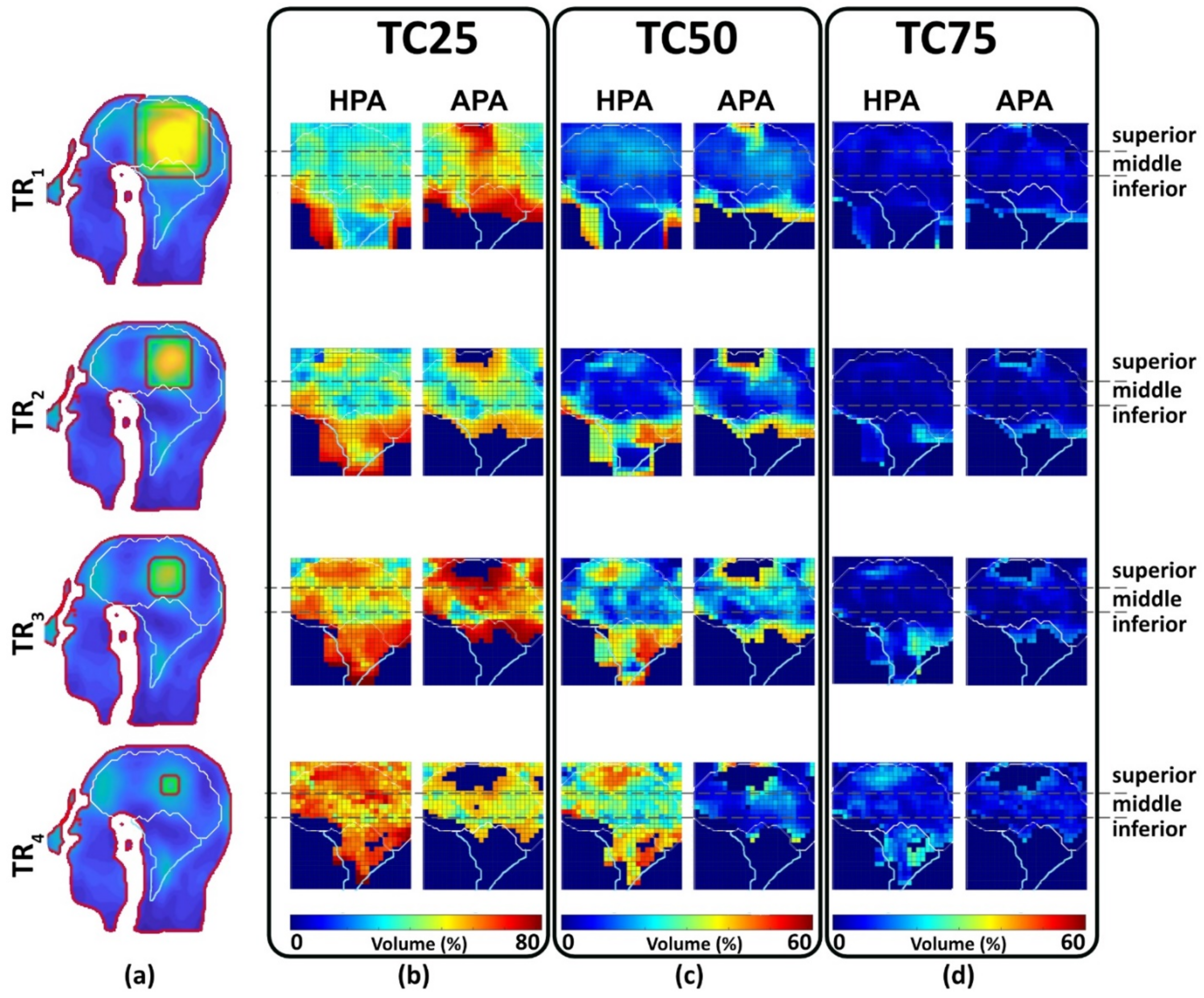 Bioengineering 11 00733 g009 Bioengineering 11 00733 g009