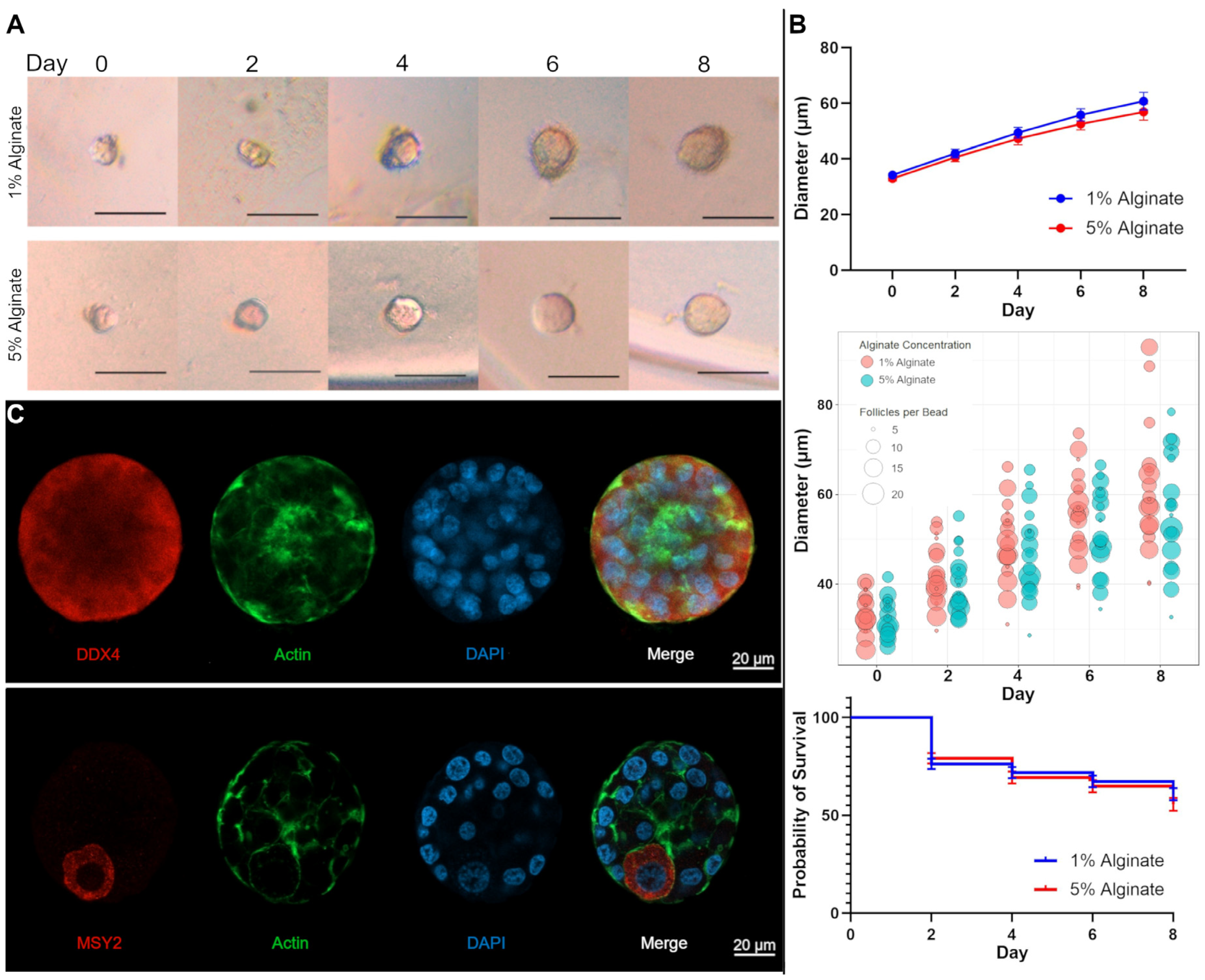 Bioengineering 11 00734 g002