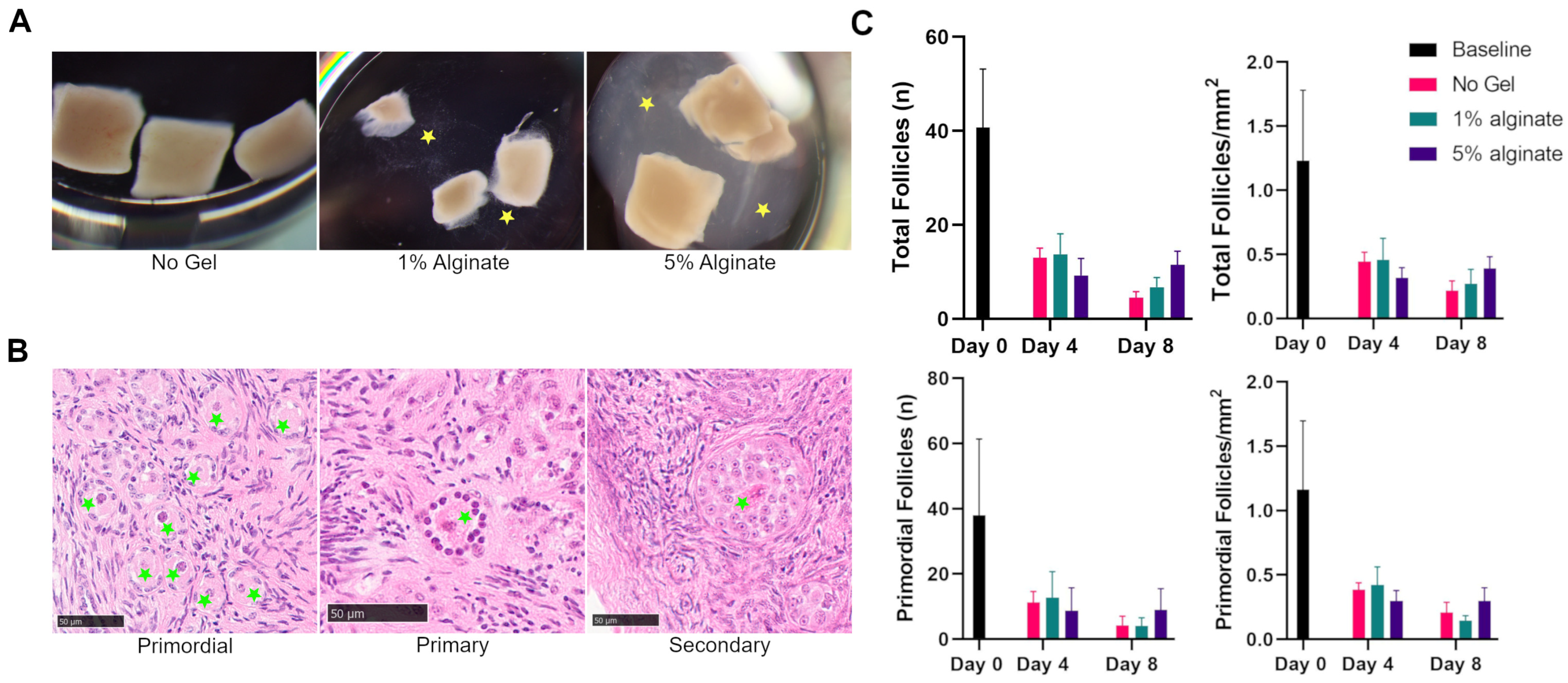 Bioengineering 11 00734 g003