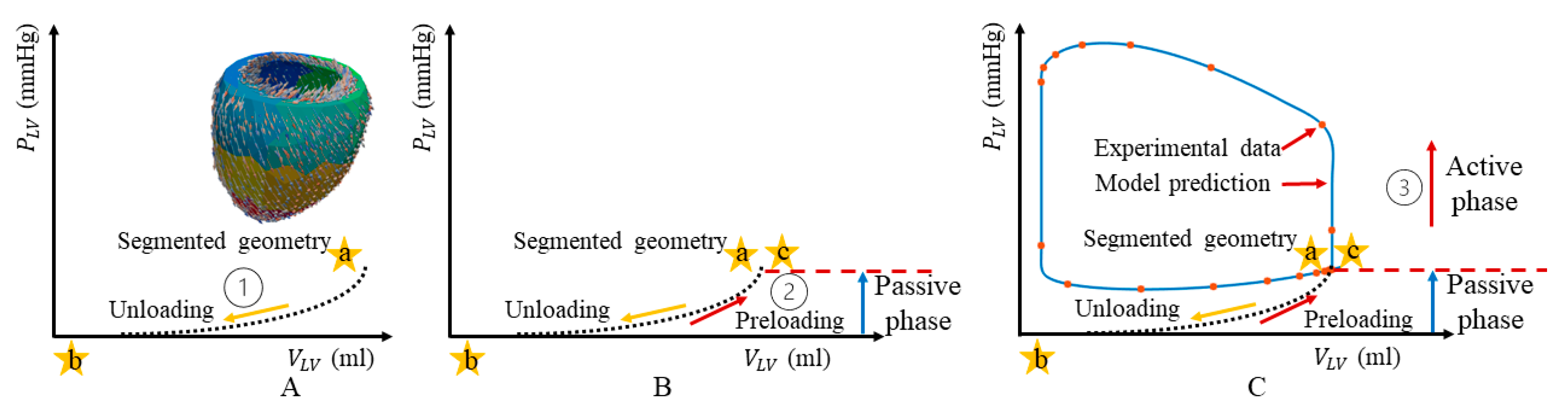Bioengineering 11 00735 g001