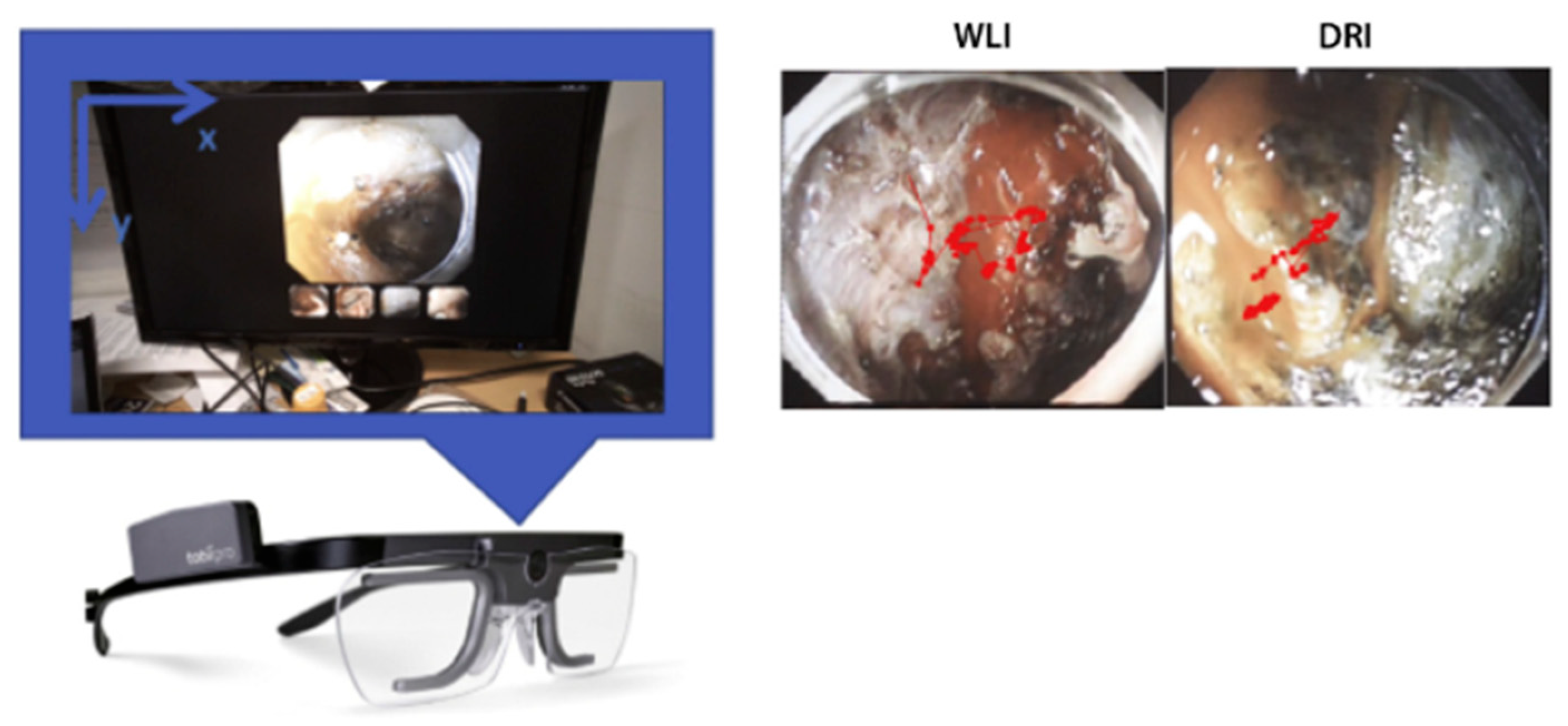 Bioengineering 11 00738 g010
