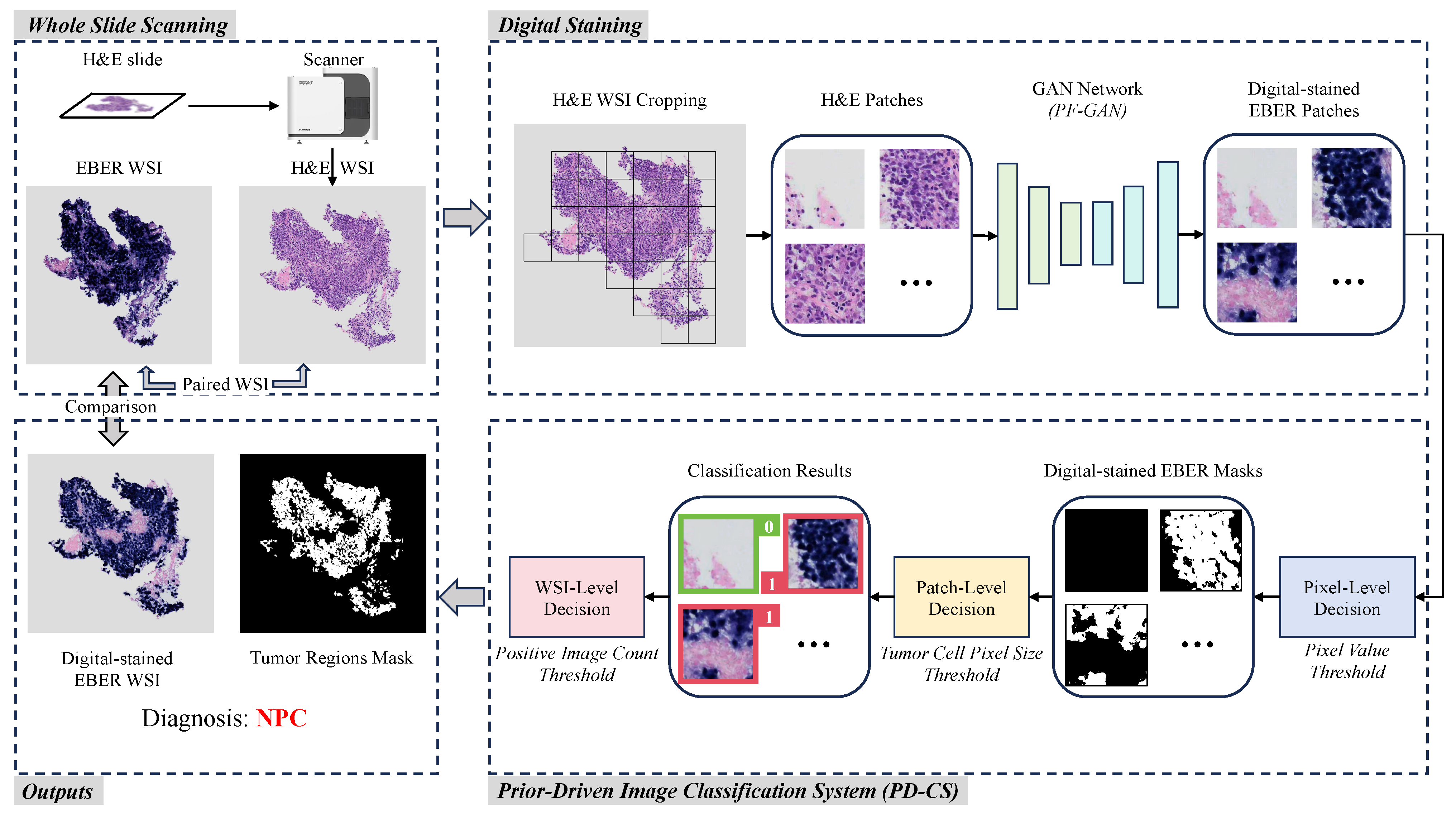Bioengineering 11 00739 g002