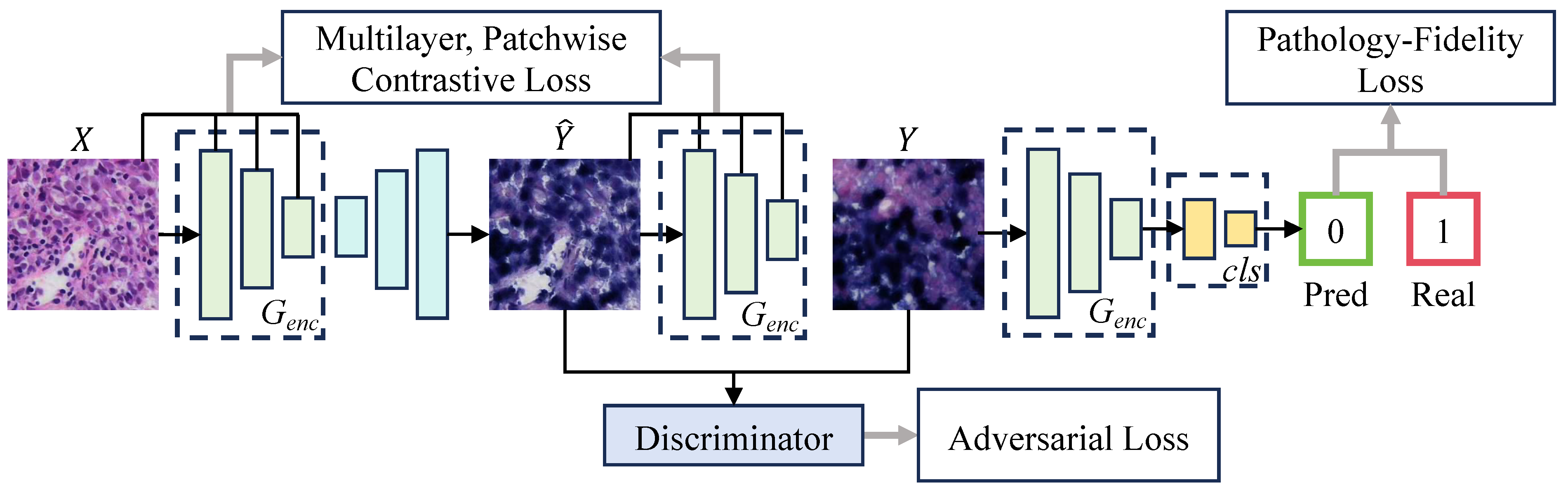Bioengineering 11 00739 g003