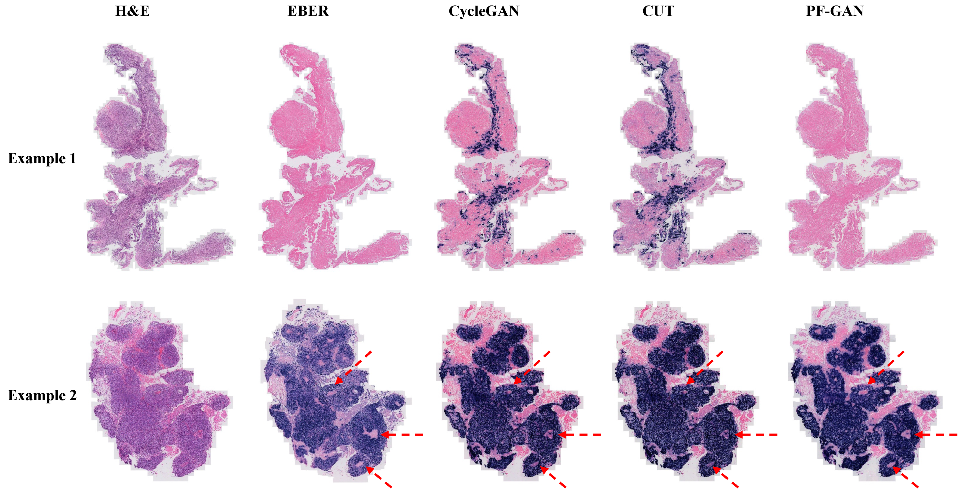 Bioengineering 11 00739 g008