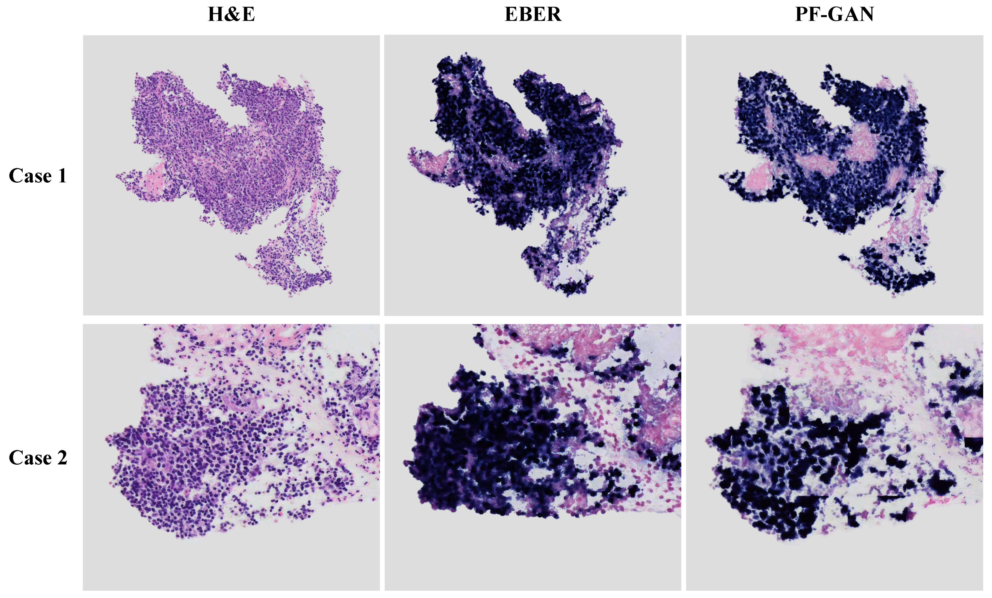 Bioengineering 11 00739 g010