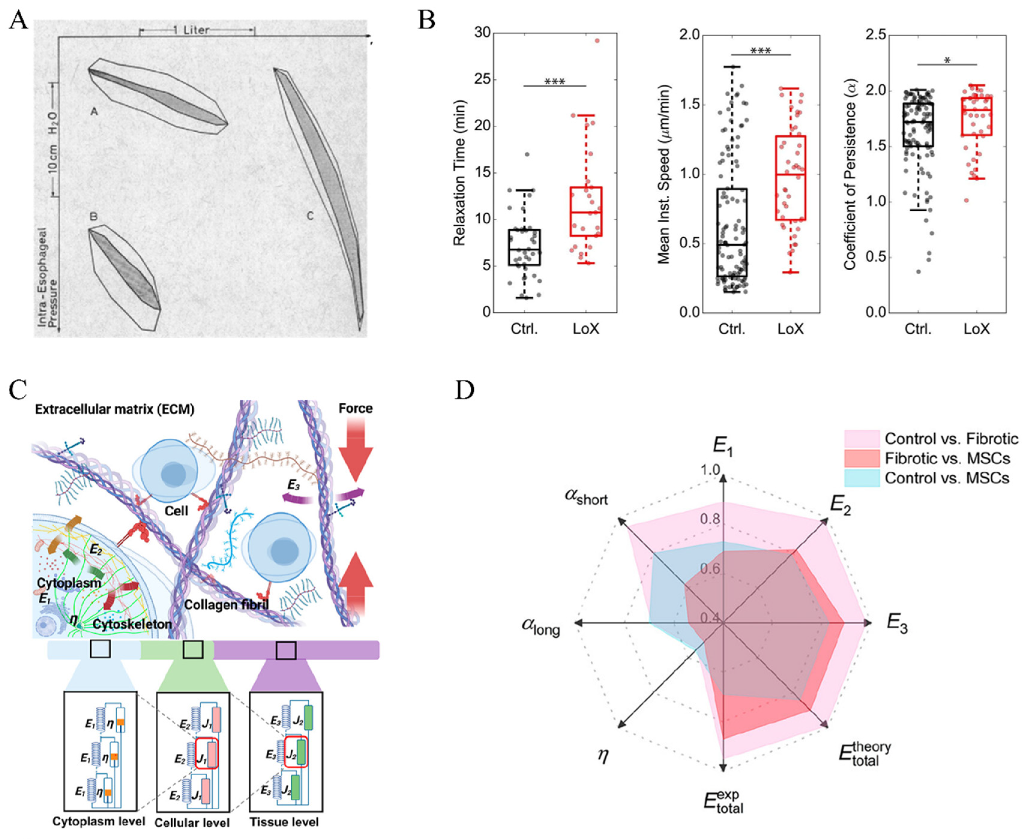 Bioengineering 11 00747 g003