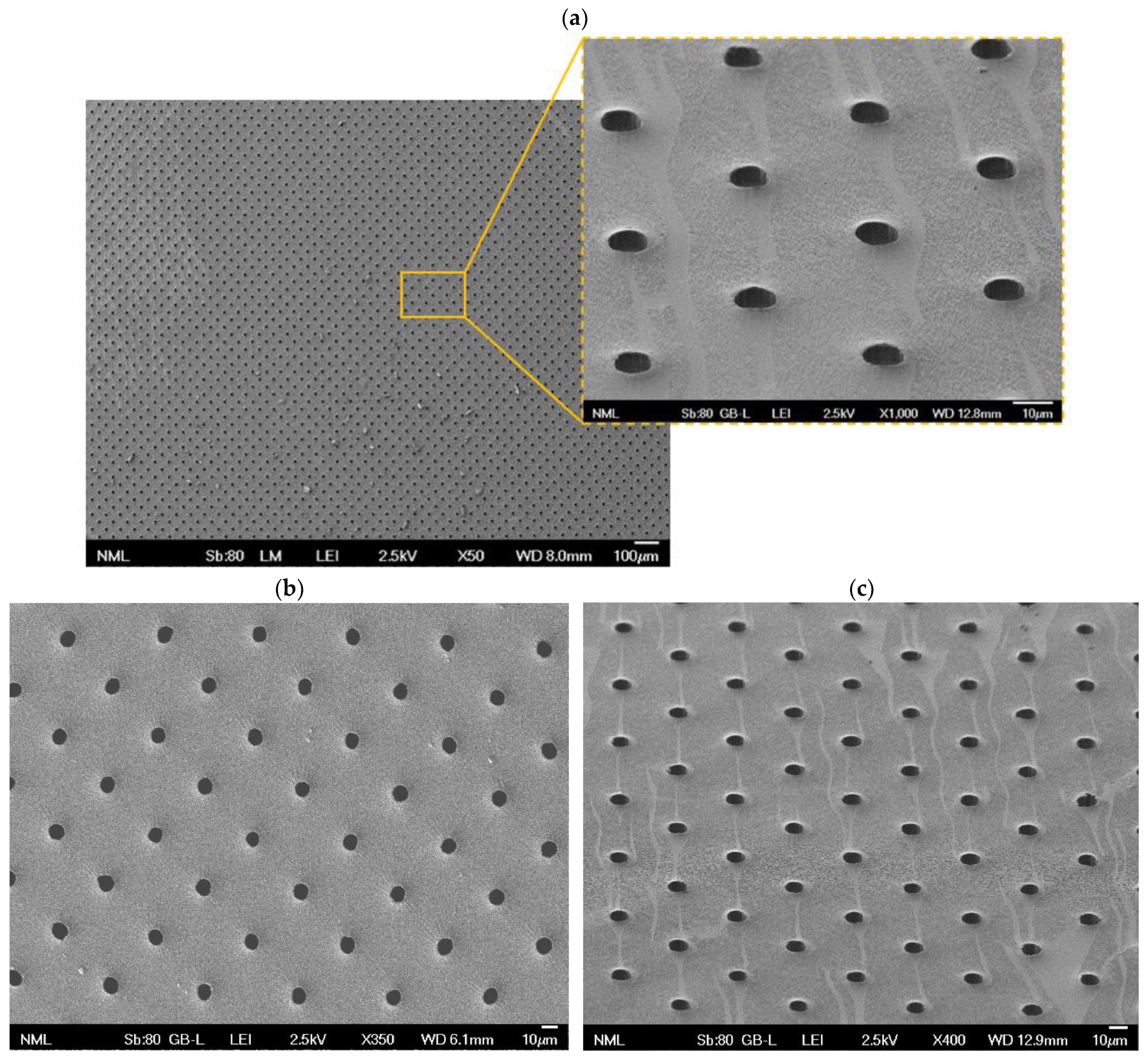 Bioengineering 11 00748 g002