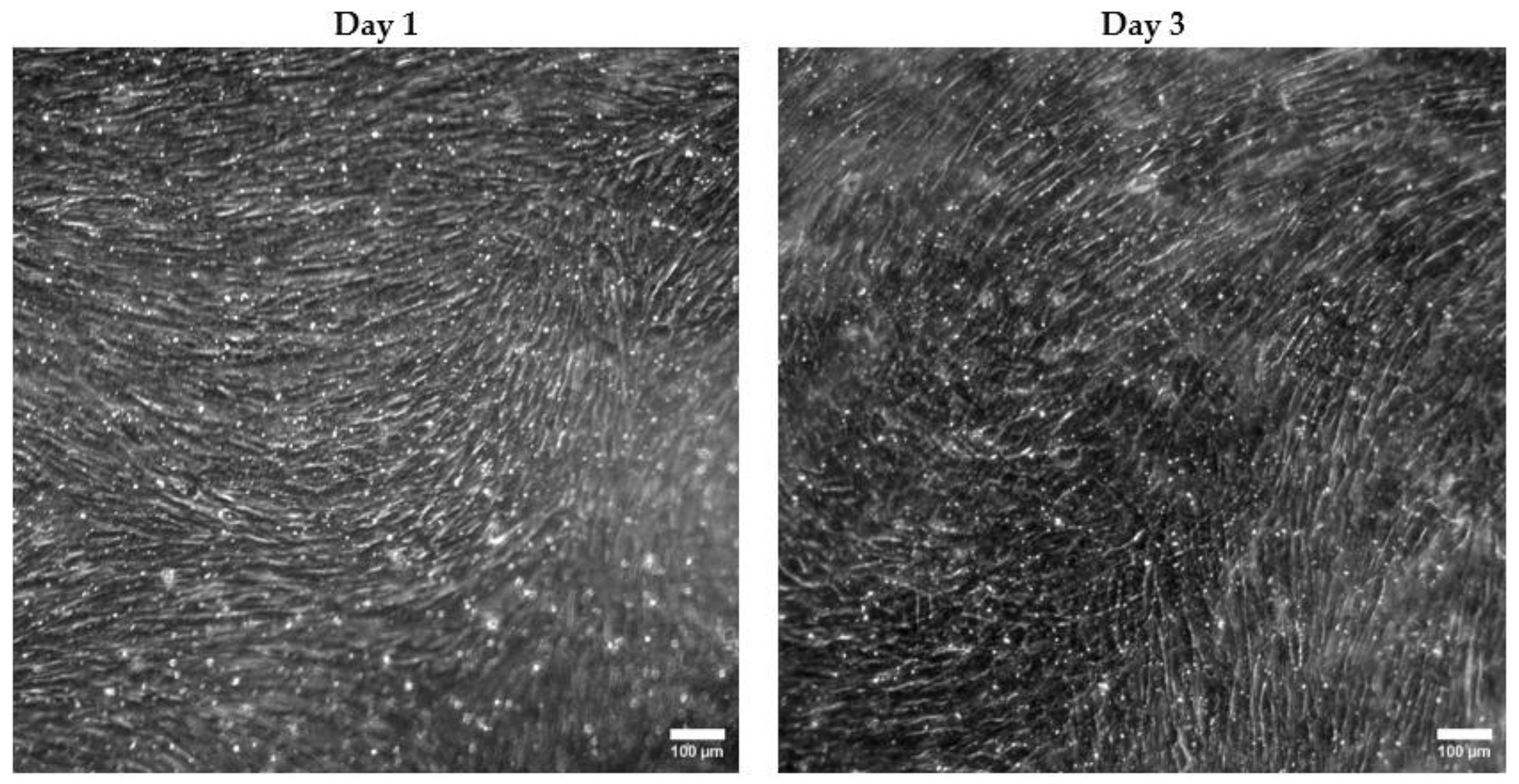 Bioengineering 11 00748 g007