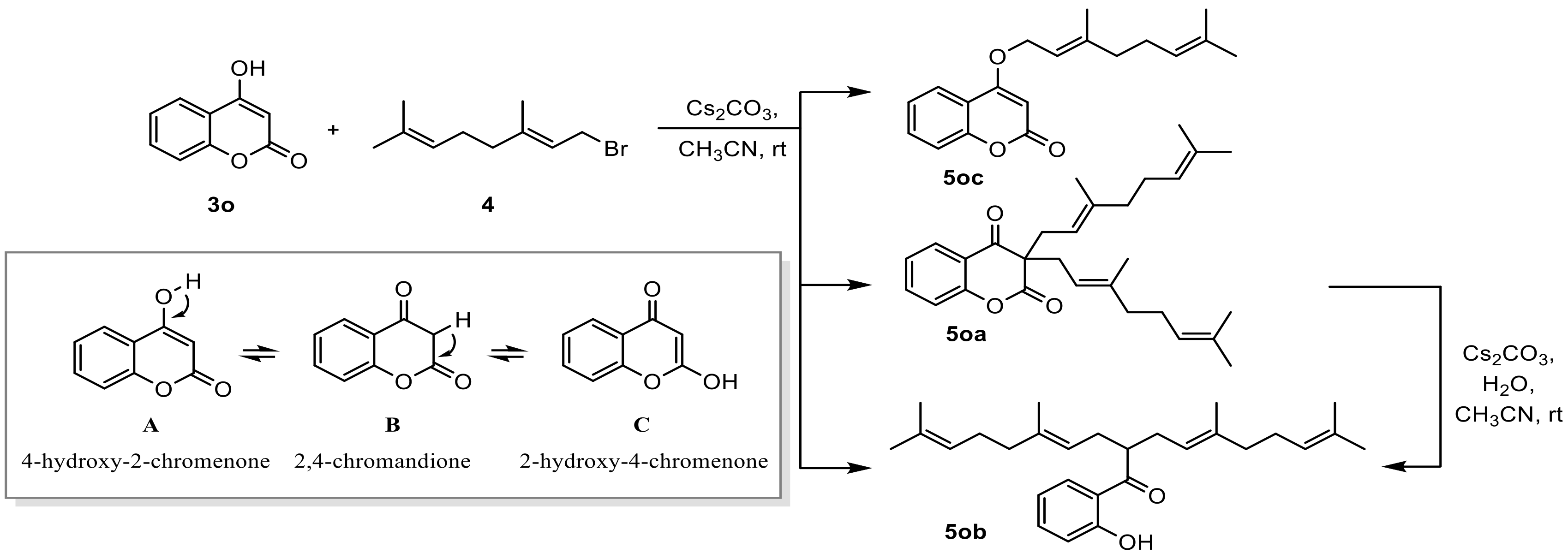 Bioengineering 11 00752 g001