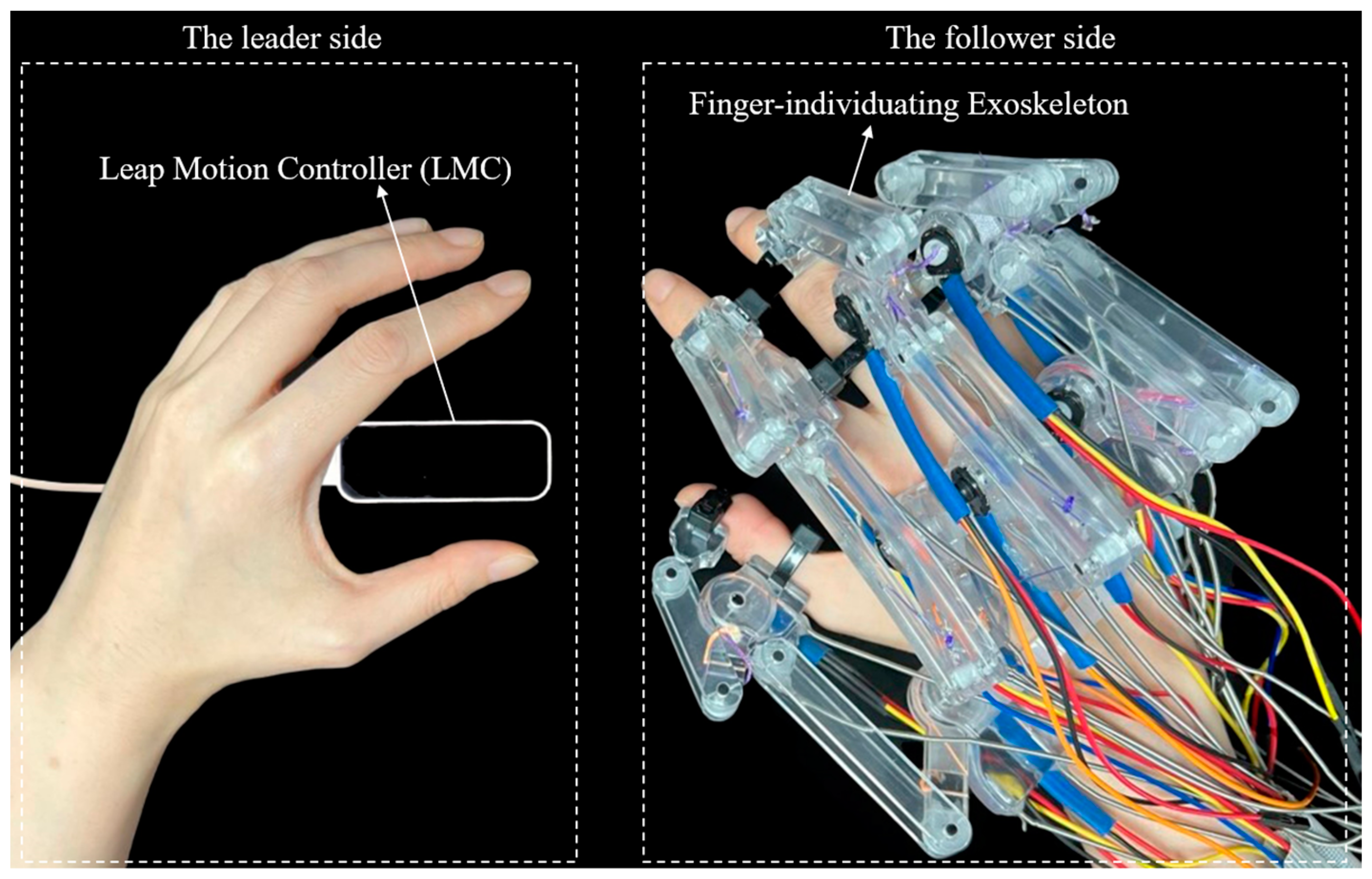 Bioengineering 11 00754 g001