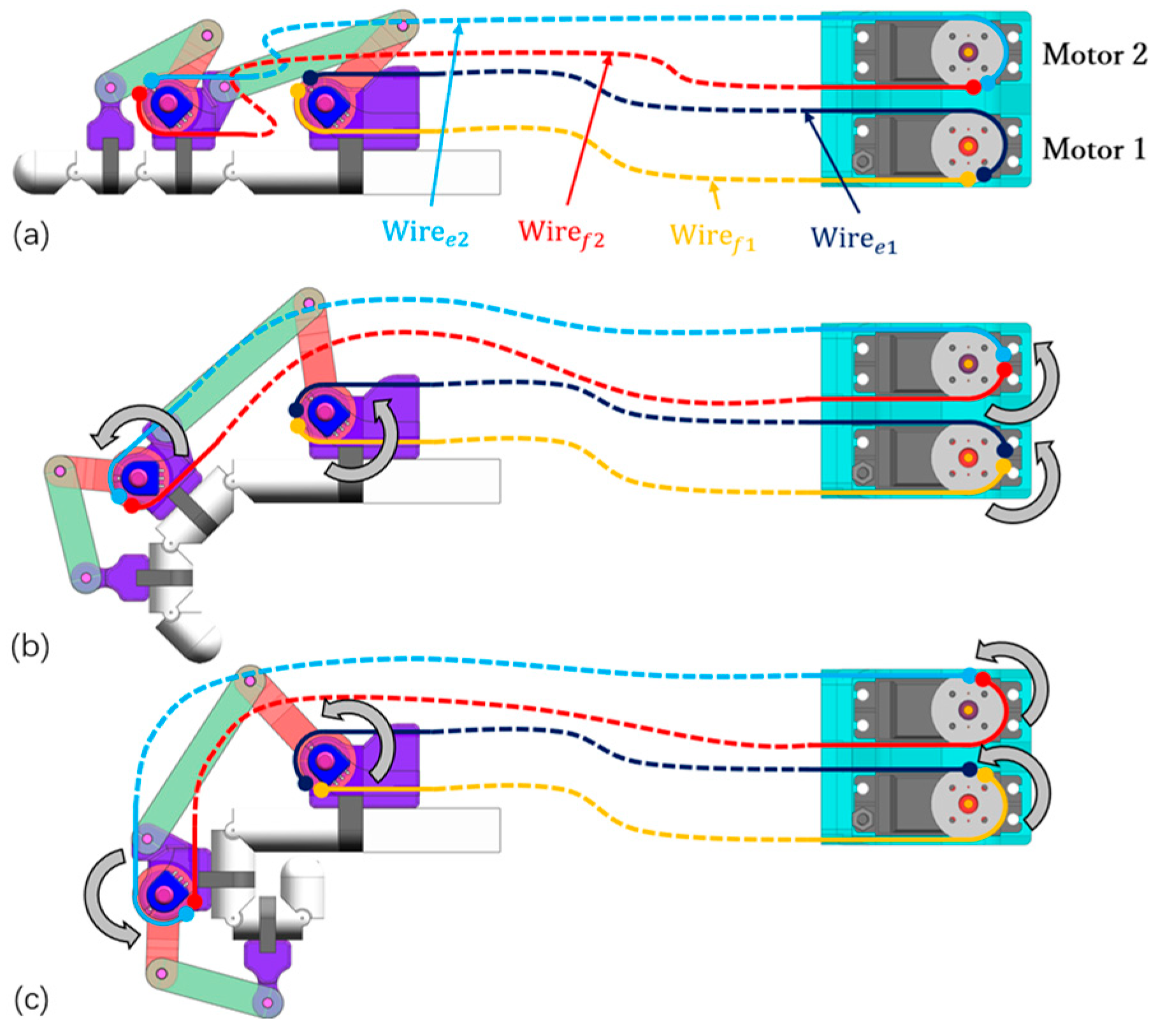 Bioengineering 11 00754 g003