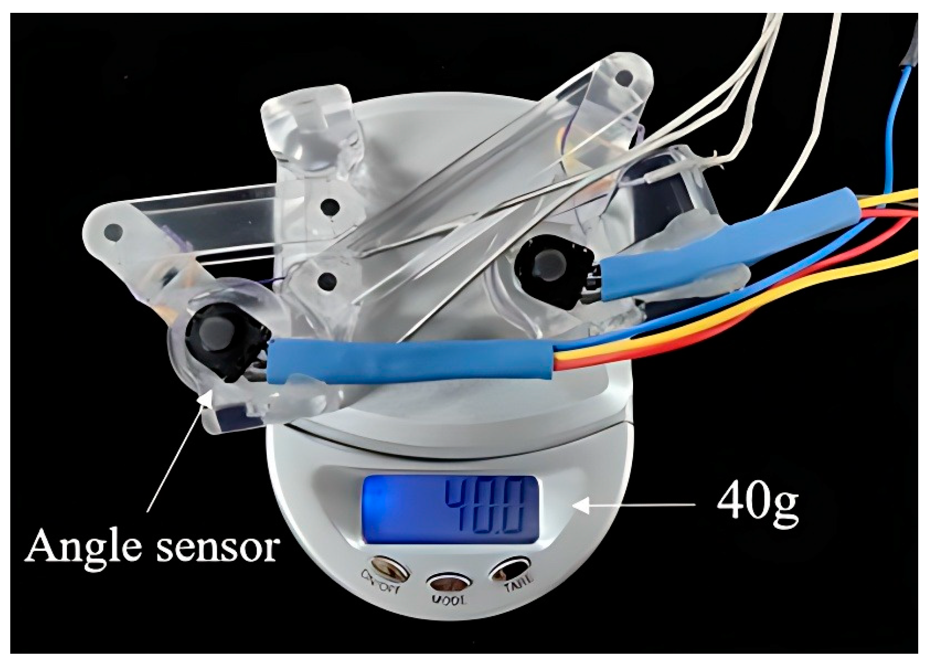 Bioengineering 11 00754 g004