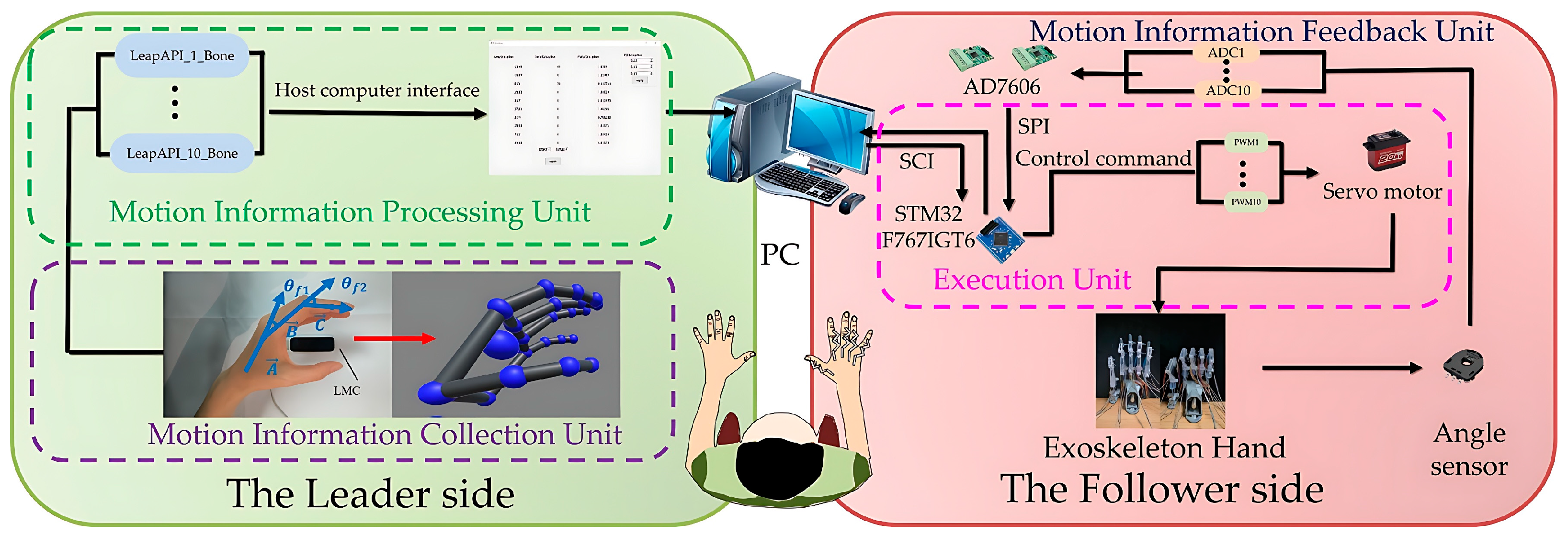 Bioengineering 11 00754 g007