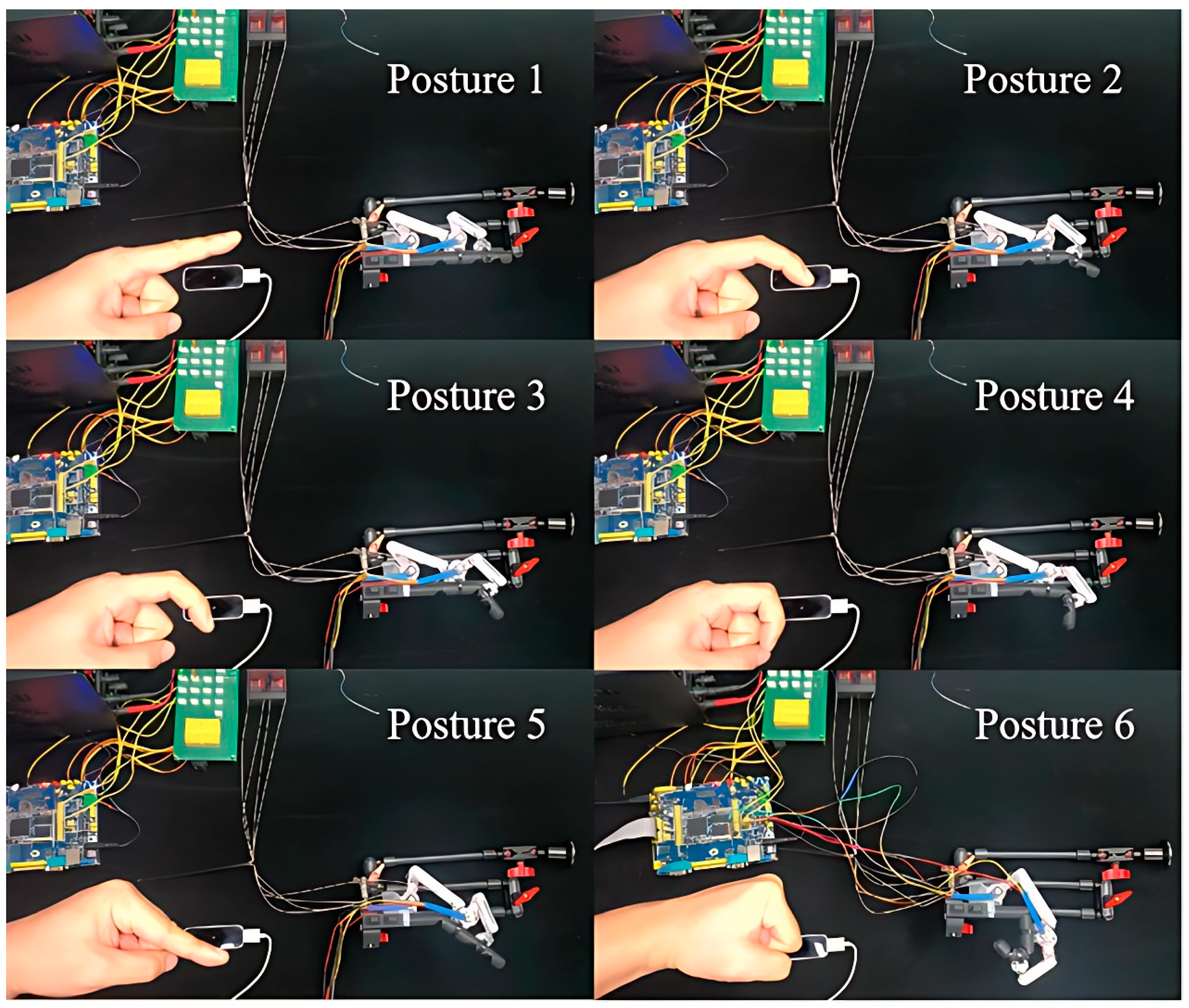 Bioengineering 11 00754 g016