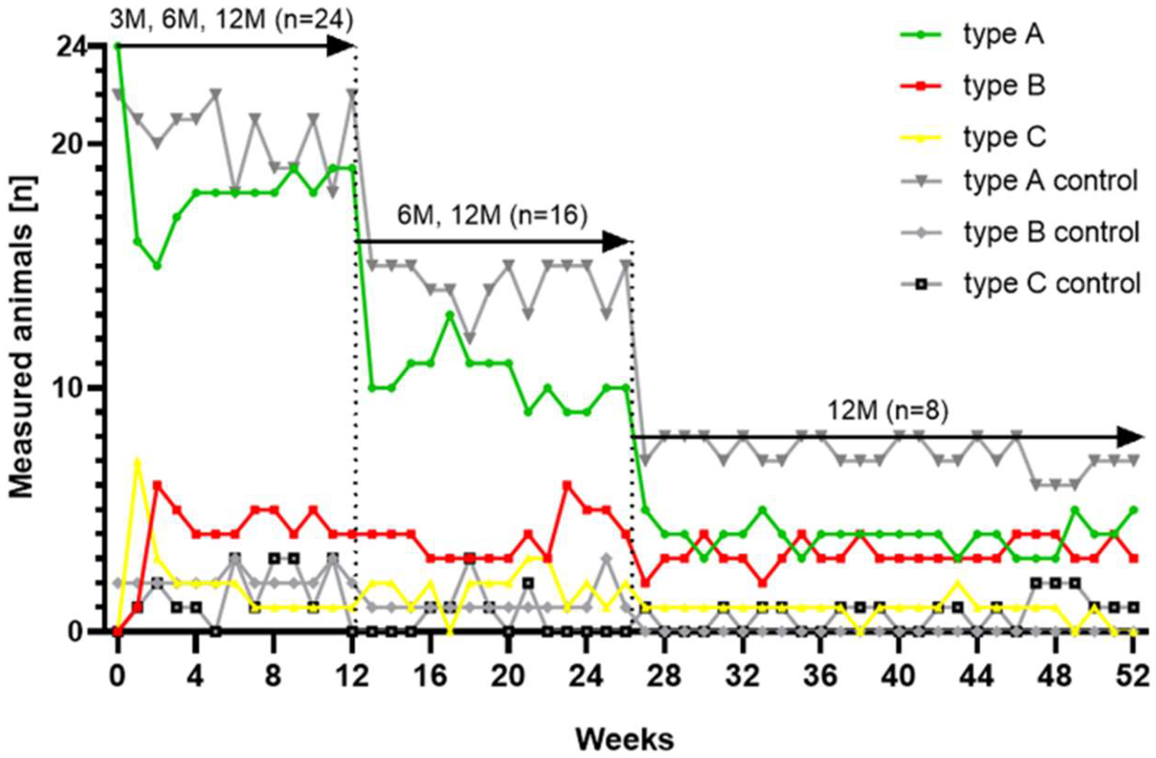 Bioengineering 11 00755 g005