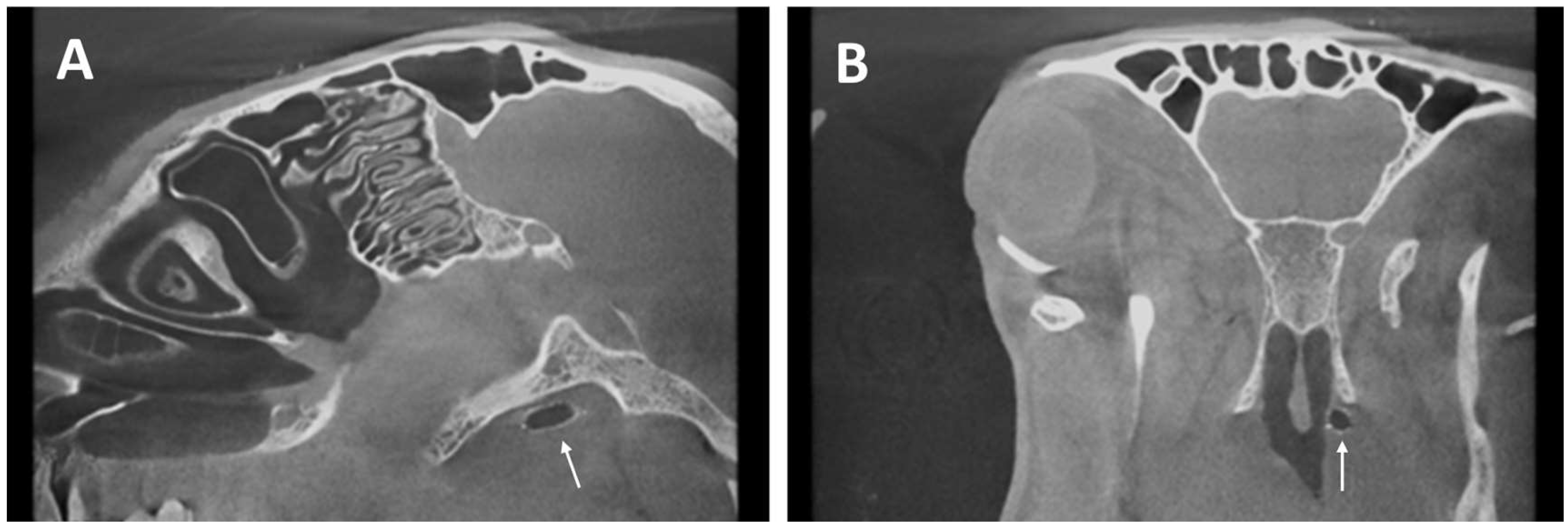 Bioengineering 11 00755 g006