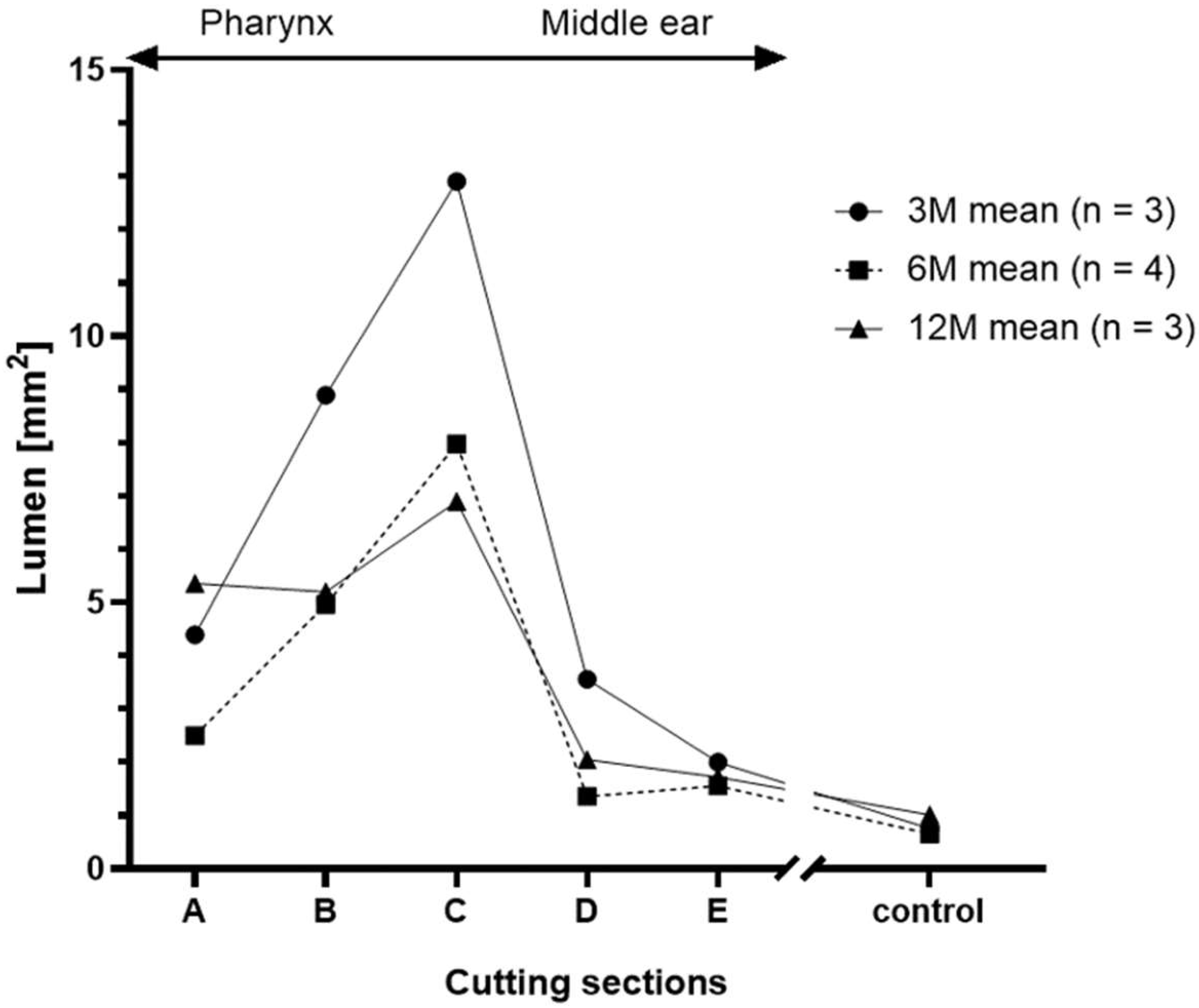 Bioengineering 11 00755 g008