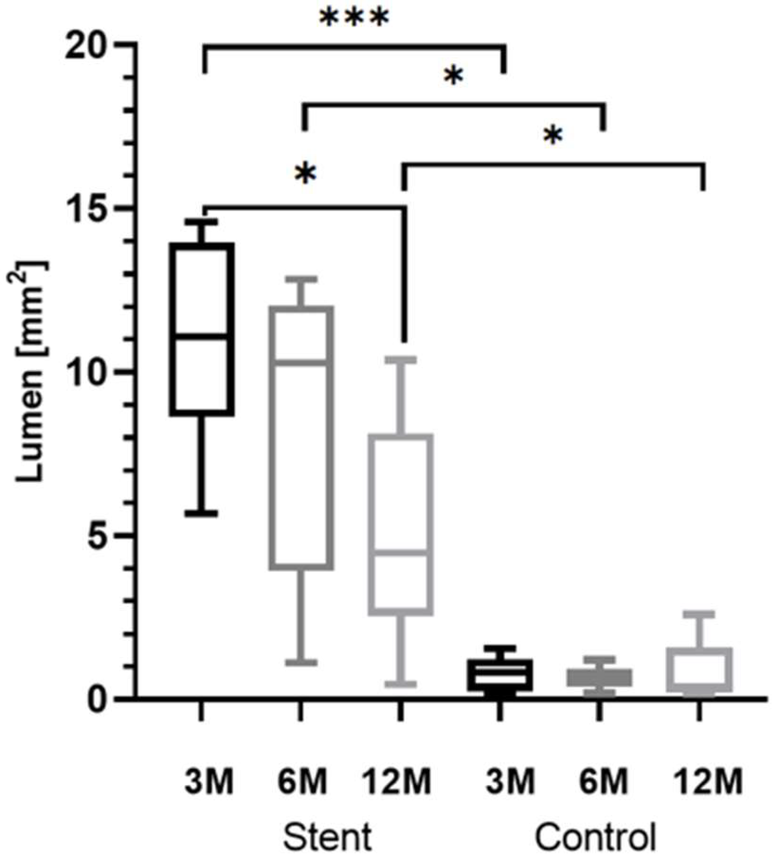 Bioengineering 11 00755 g009