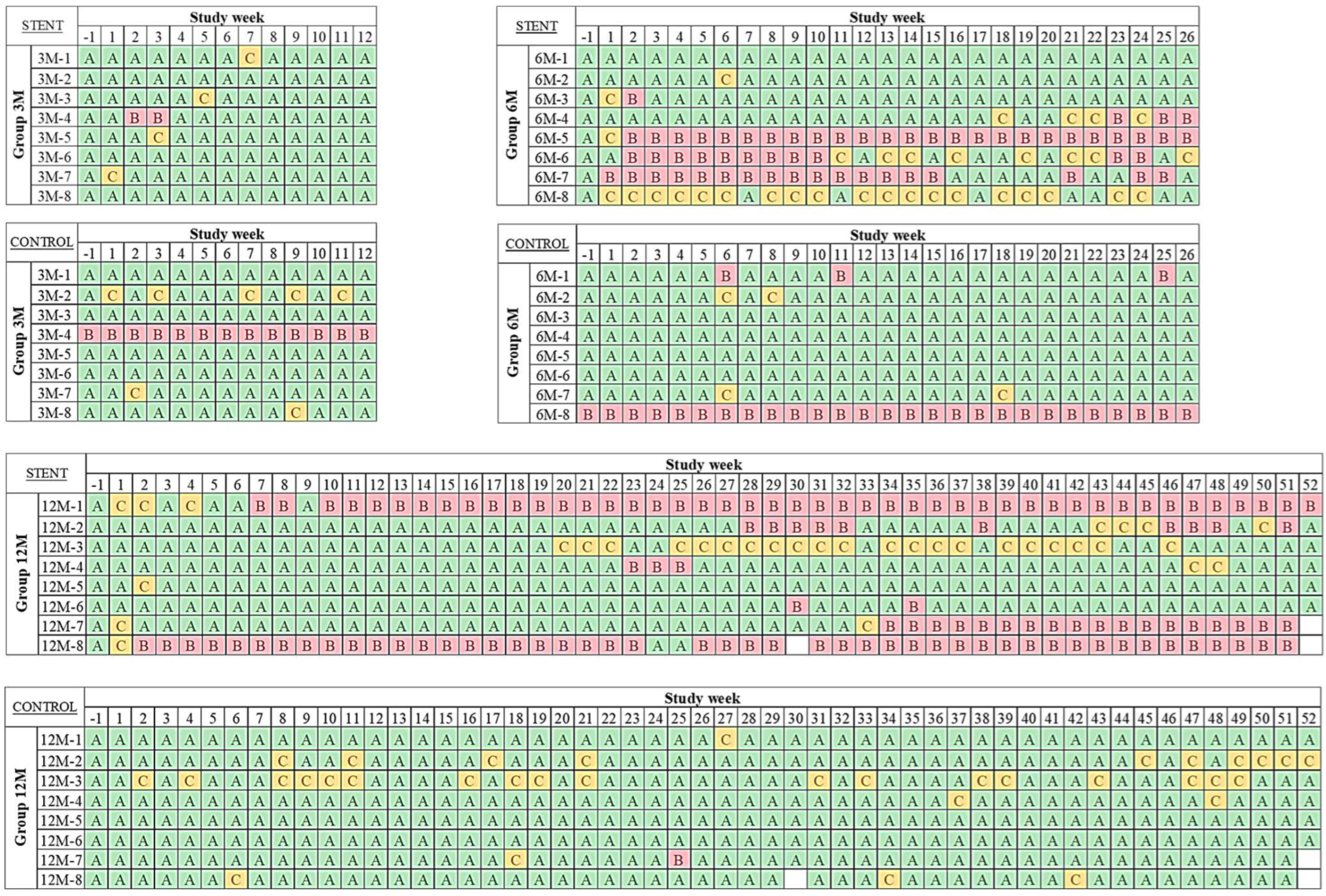 Bioengineering 11 00755 g0a1