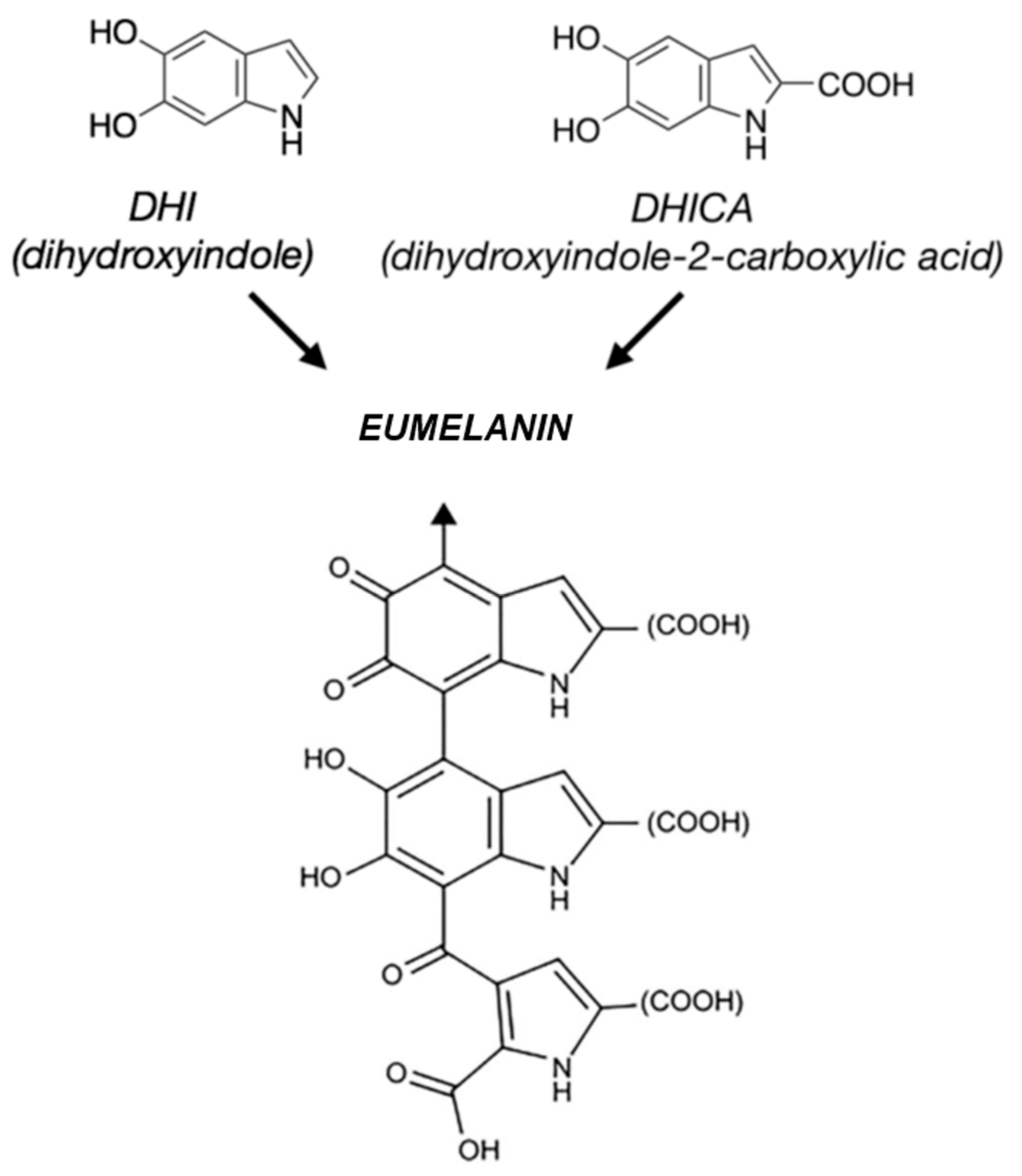 Bioengineering 11 00756 g001