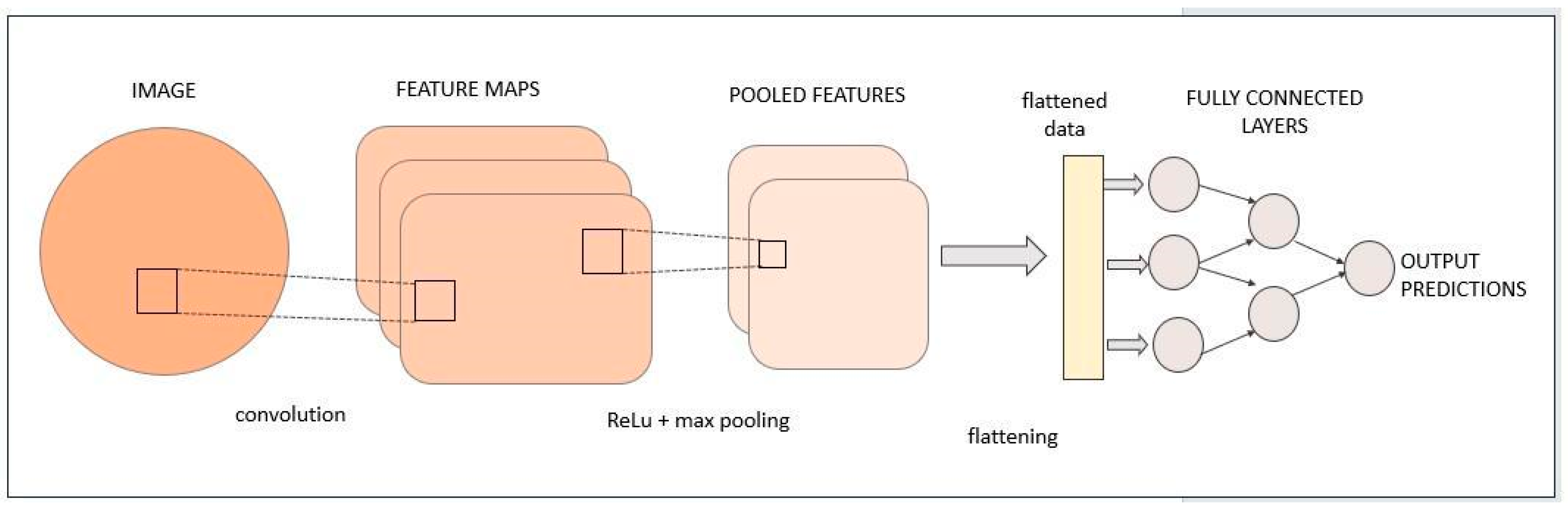 Bioengineering 11 00758 g004