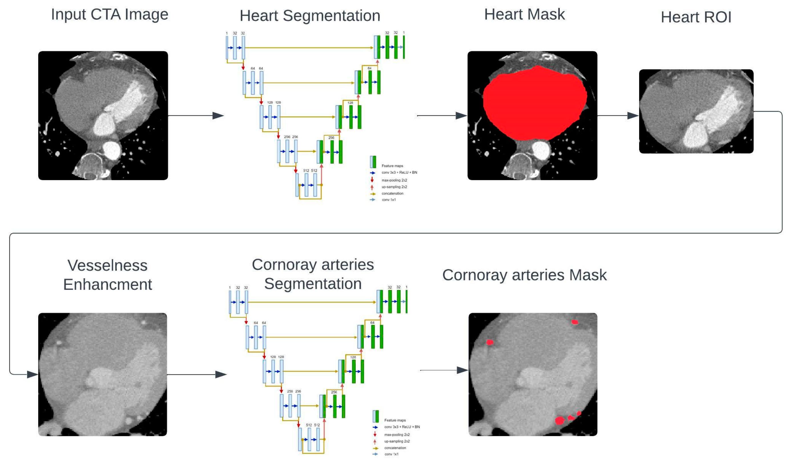Bioengineering 11 00759 g001