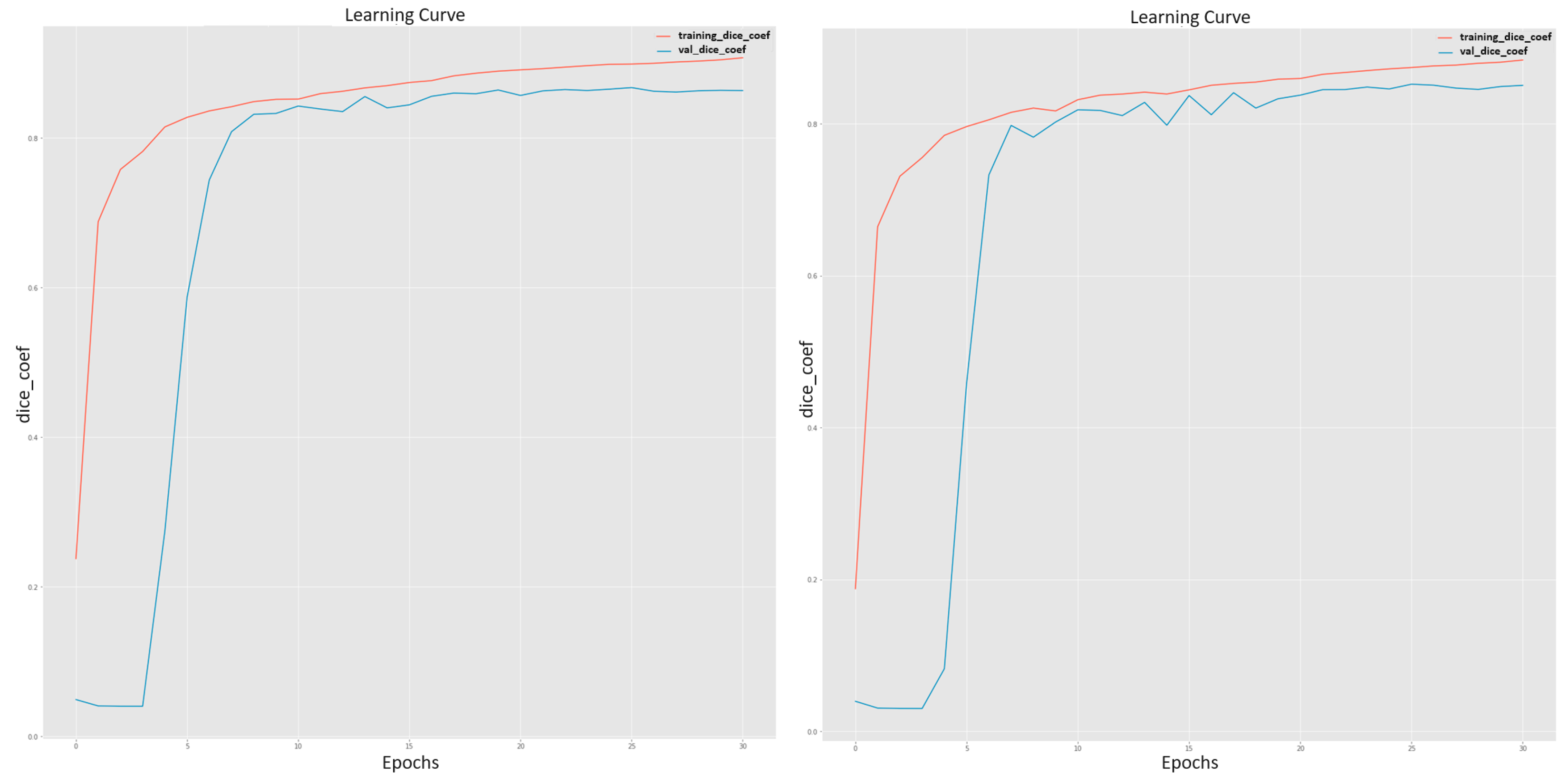 Bioengineering 11 00759 g008