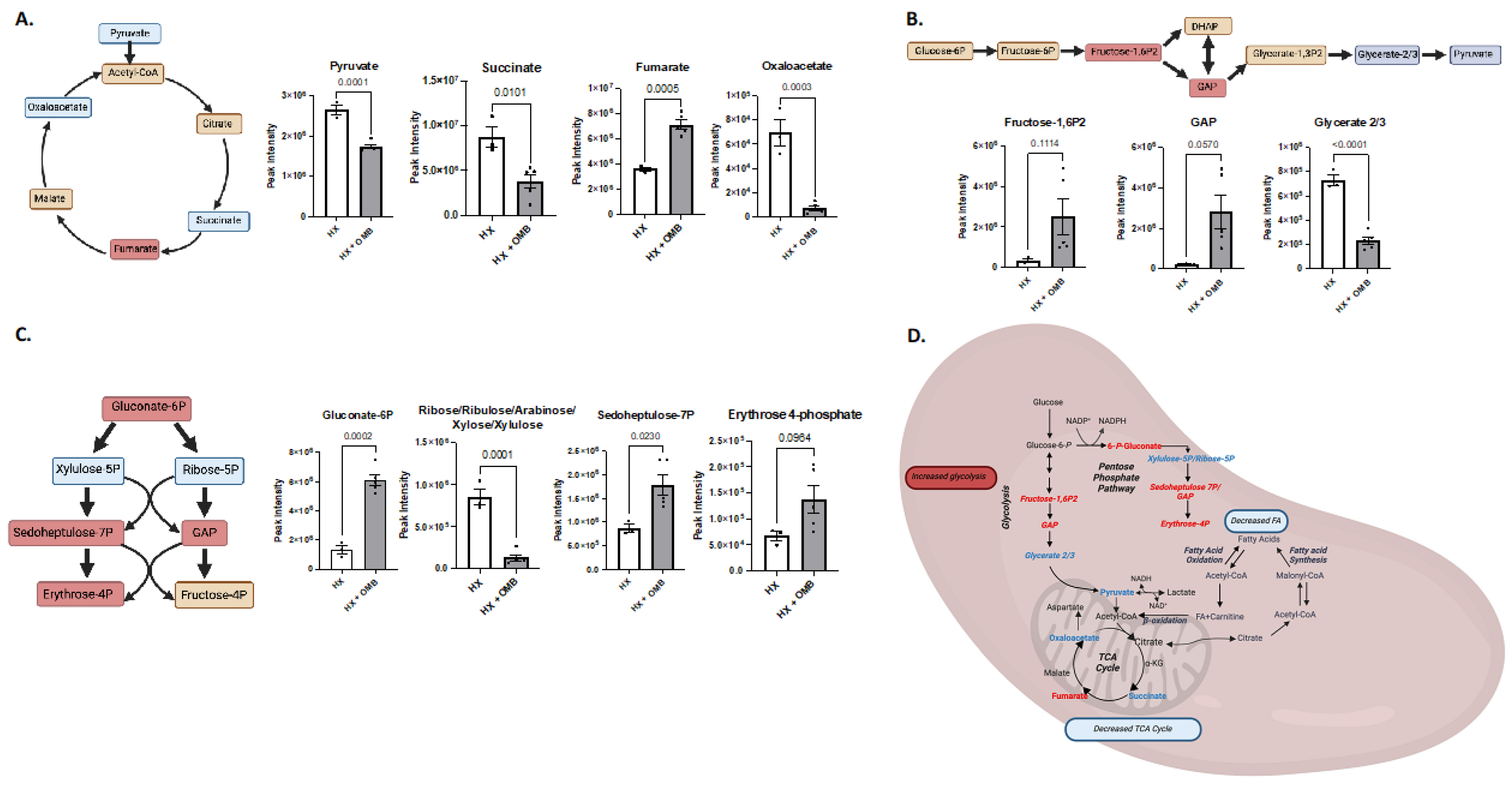 Bioengineering 11 00761 g006