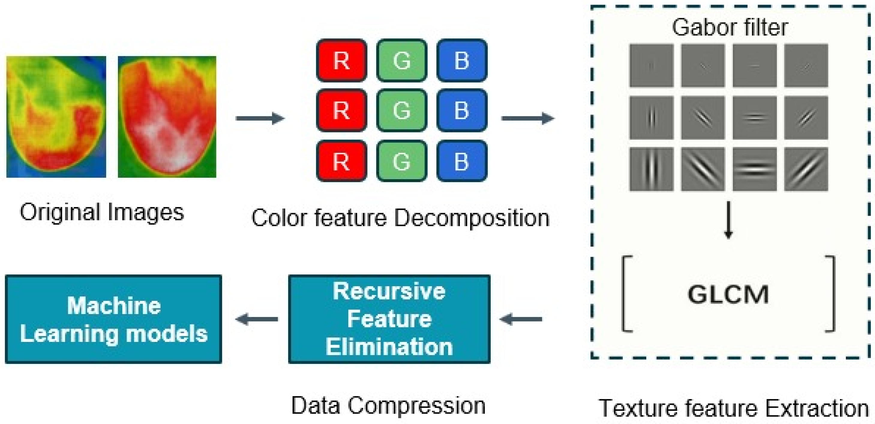 Bioengineering 11 00764 g012