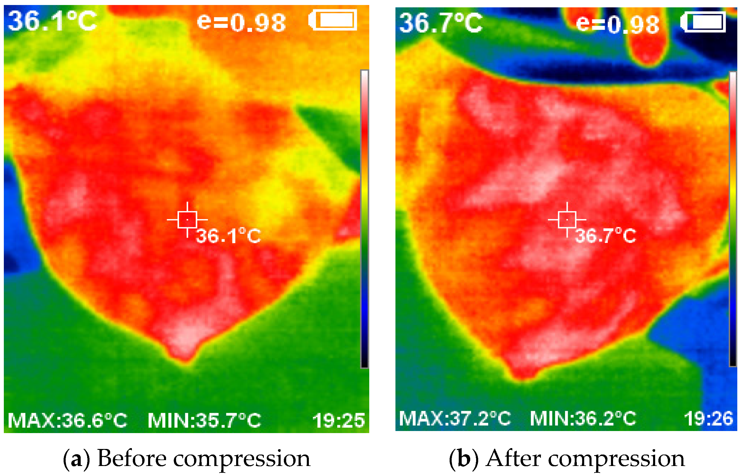 Bioengineering 11 00764 g013