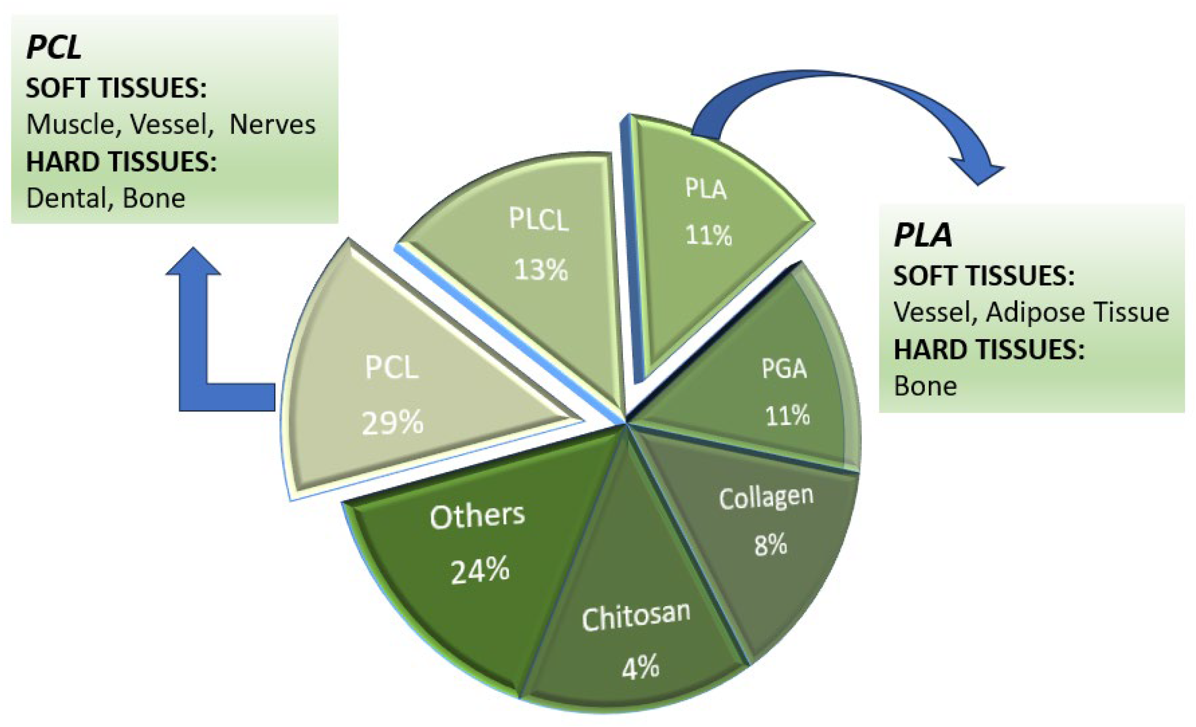 Bioengineering 11 00769 g009