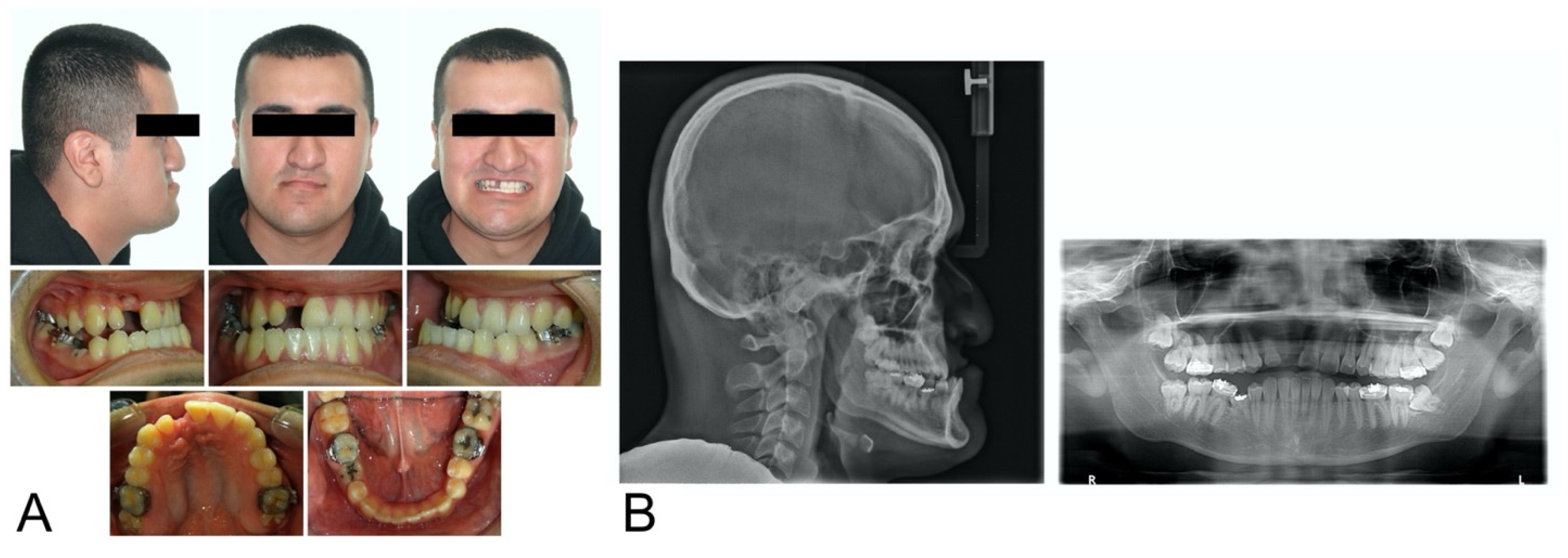 Bioengineering 11 00771 g001