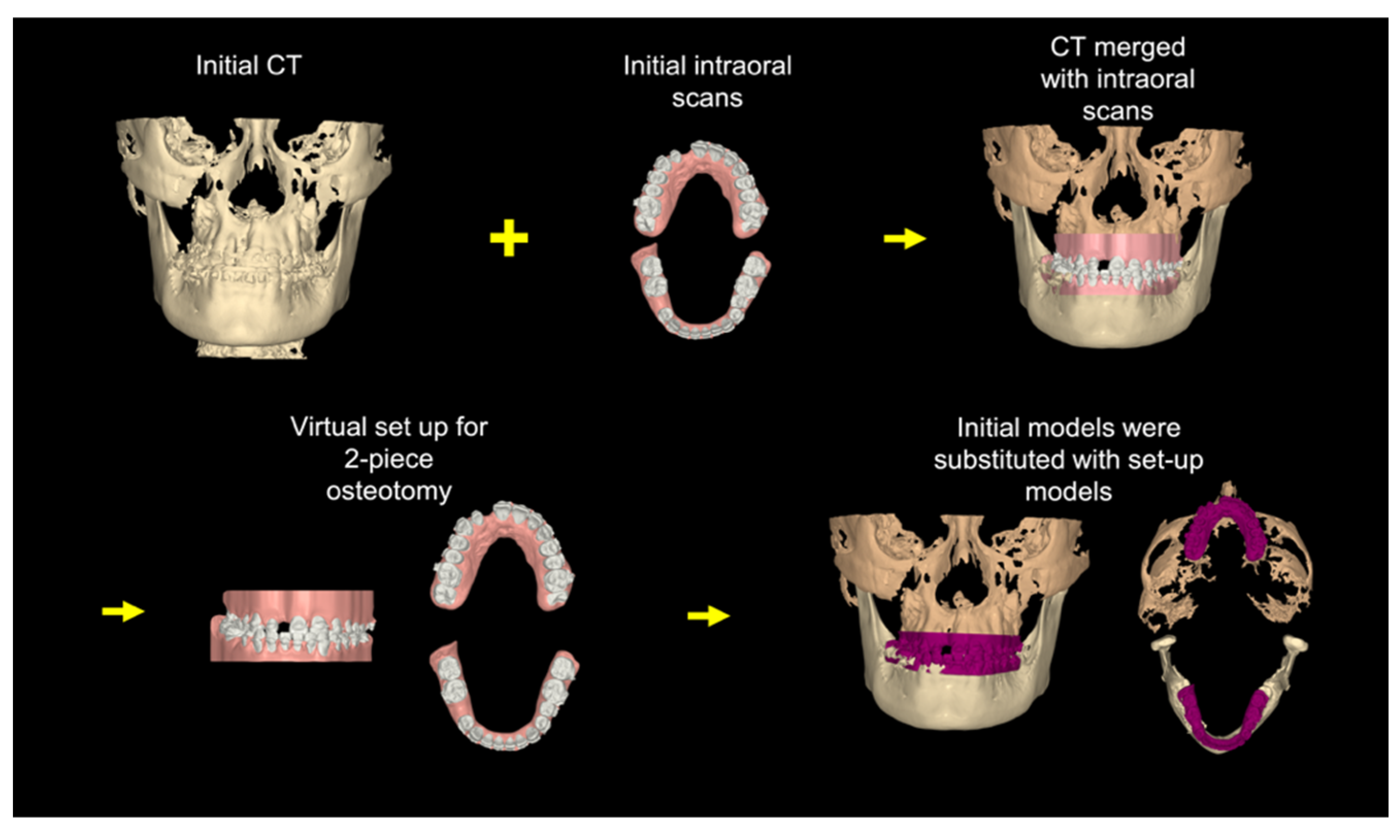 Bioengineering 11 00771 g004