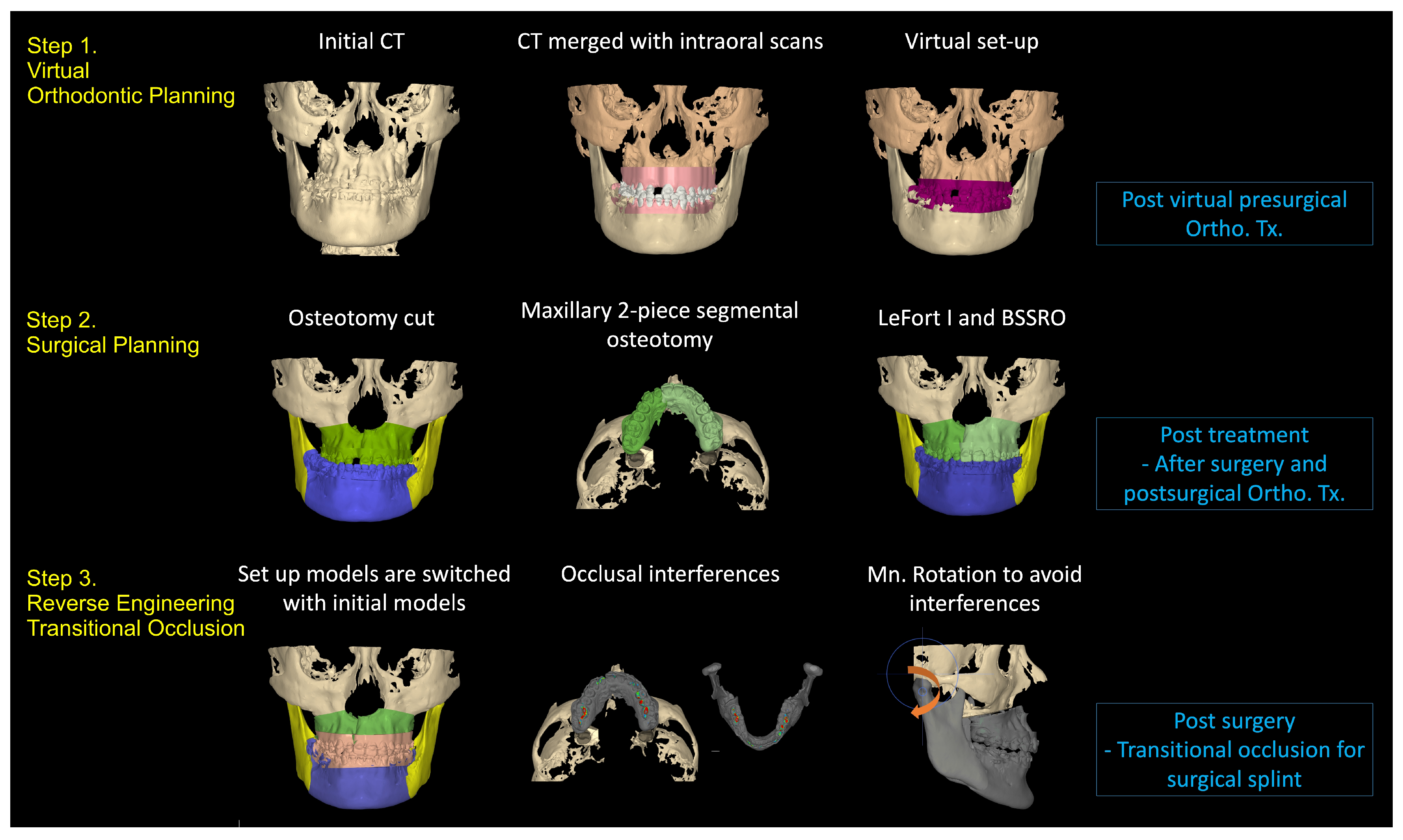Bioengineering 11 00771 g007