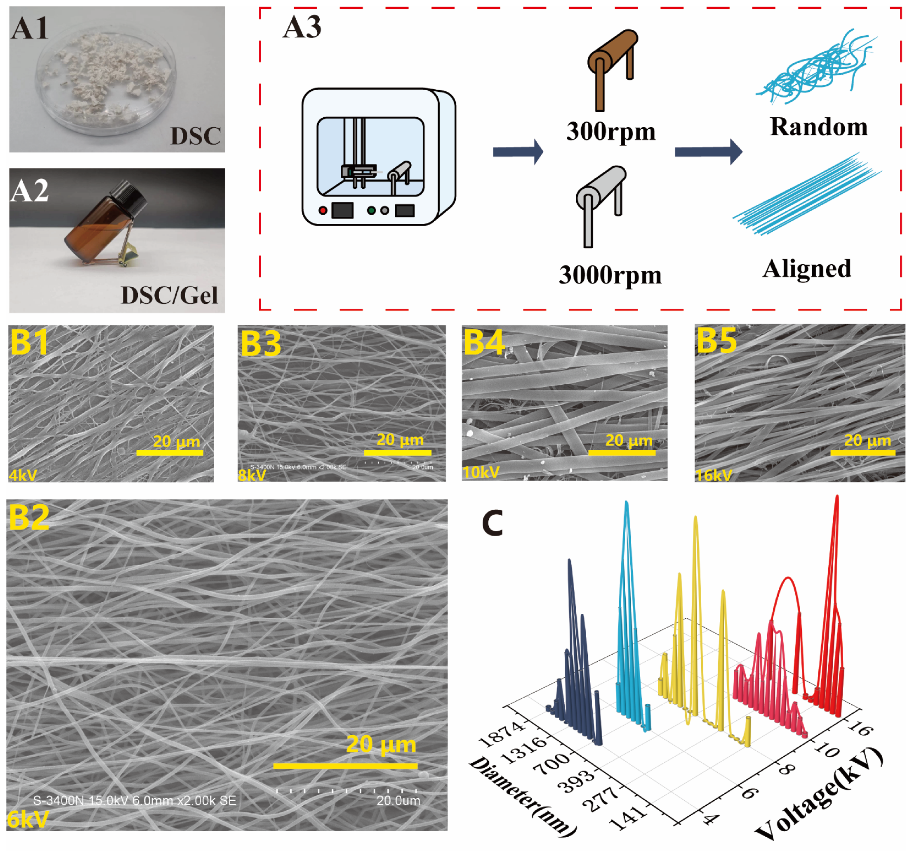 Bioengineering 11 00772 g002